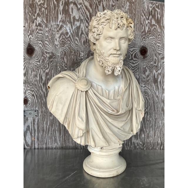 Vintage Grand Tour Resin Bust of Septimus Severus - Back view