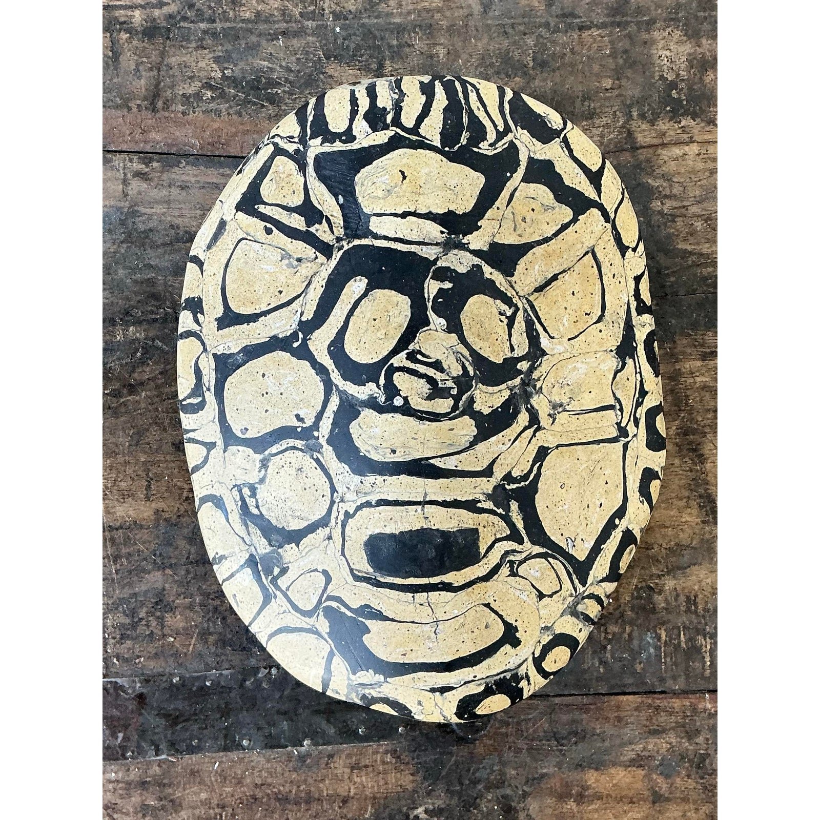 Vintage Italian Scagliola Pigmented Plaster Turtle Shell - Synthetic, 6W x 7.75H - Side view