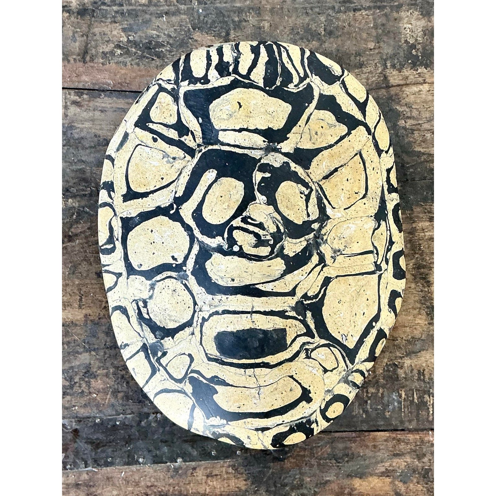 Vintage Italian Scagliola Pigmented Plaster Turtle Shell - Synthetic, 6W x 7.75H - Detail view