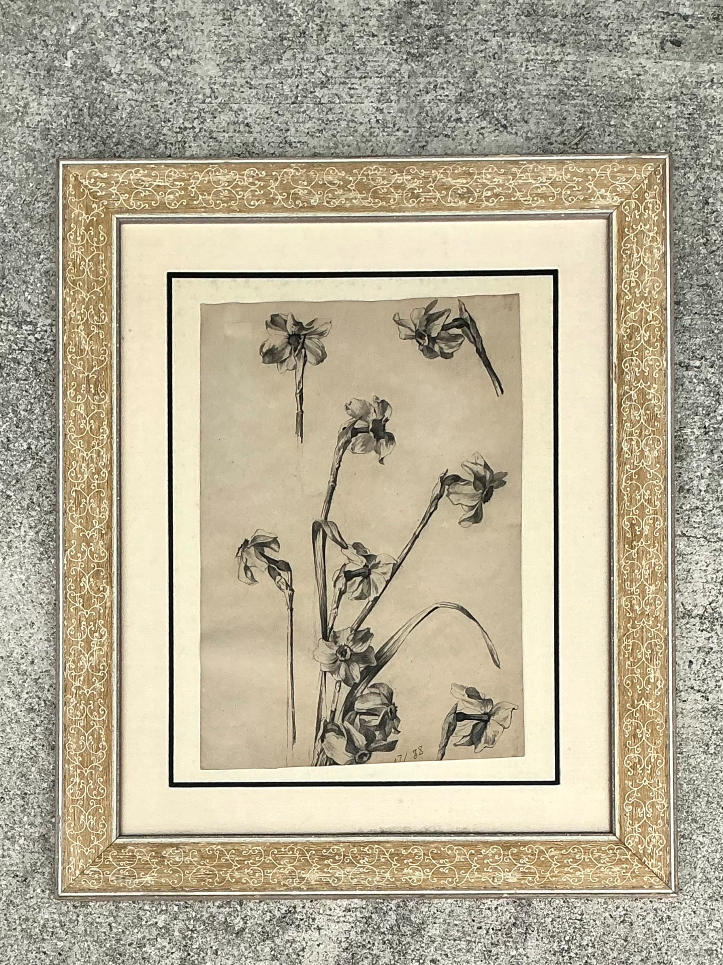 Framed Botanical Drawing with Gold Detailing - Detail view