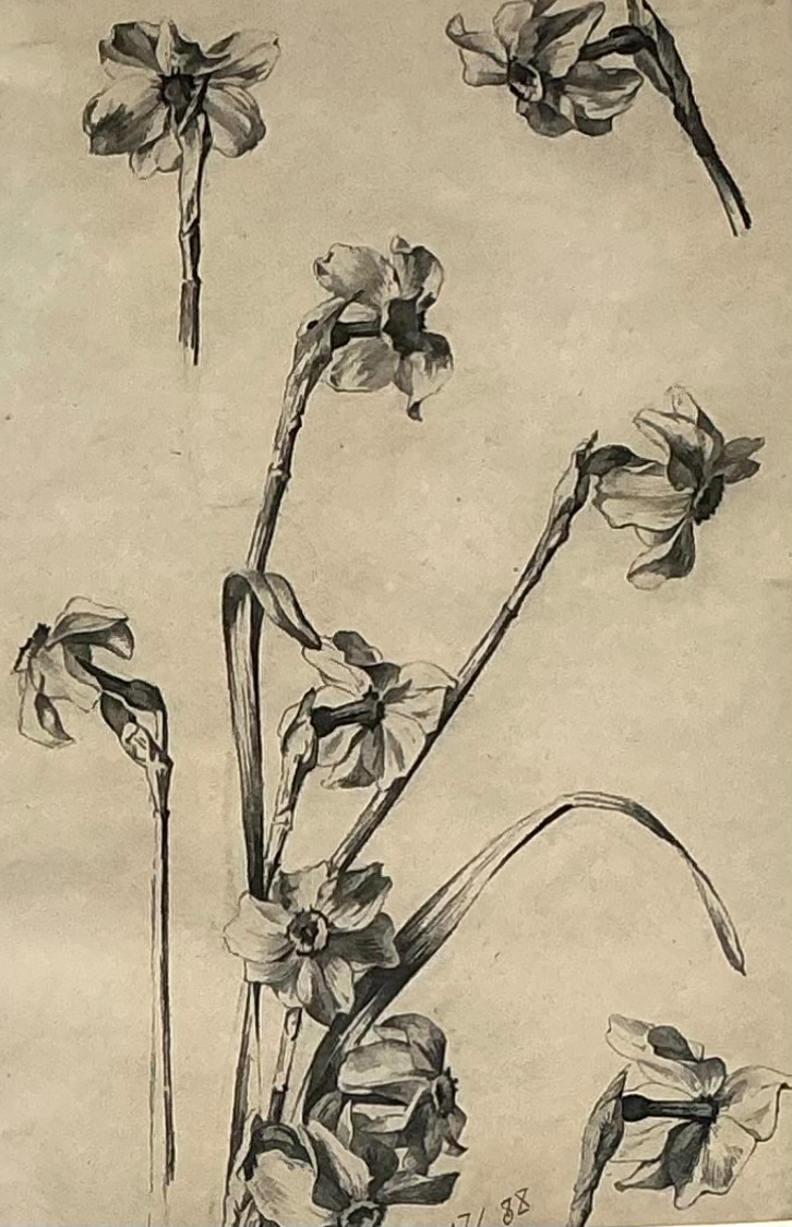 Framed Botanical Drawing with Gold Detailing - Back view