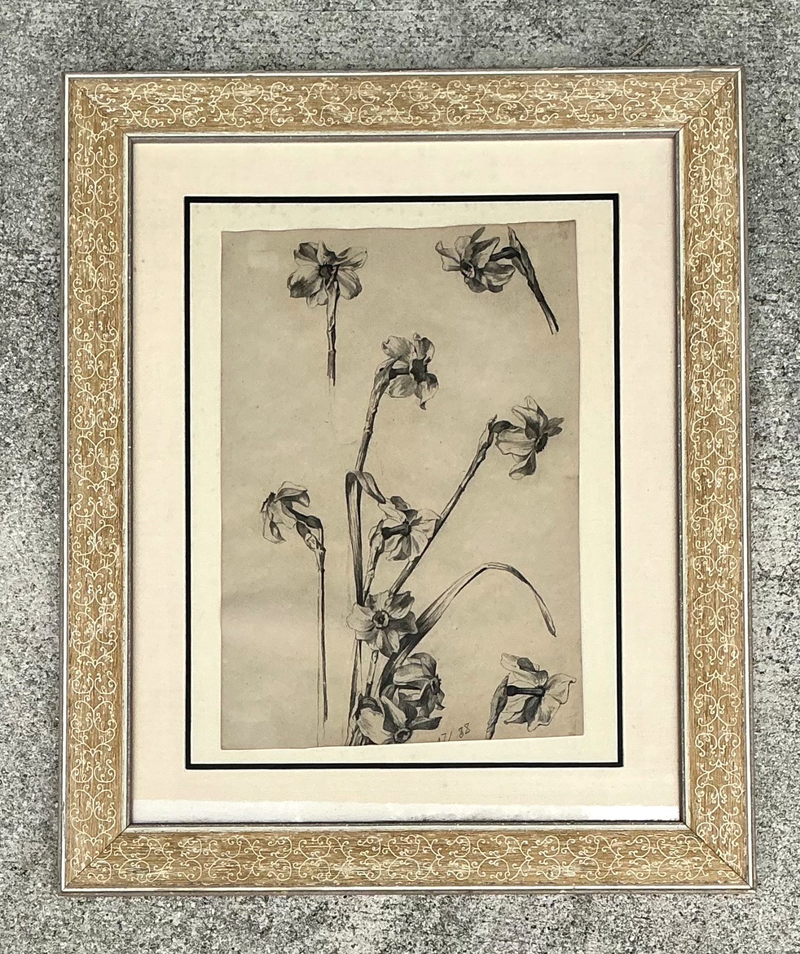 Framed Botanical Drawing with Gold Detailing - Top view