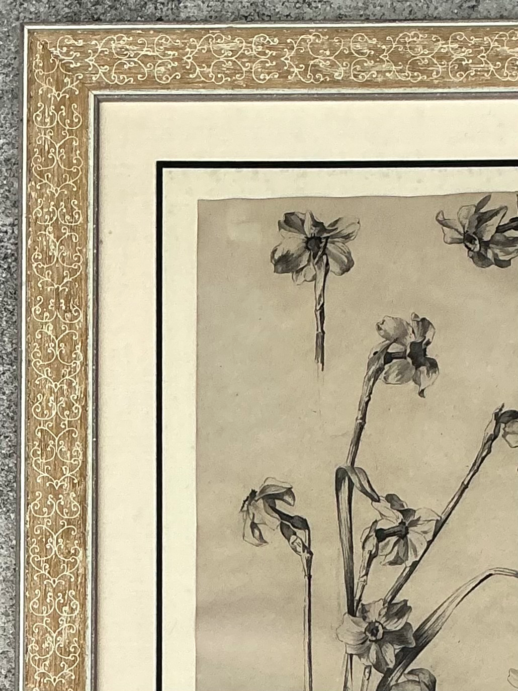 Framed Botanical Drawing with Gold Detailing - Side view