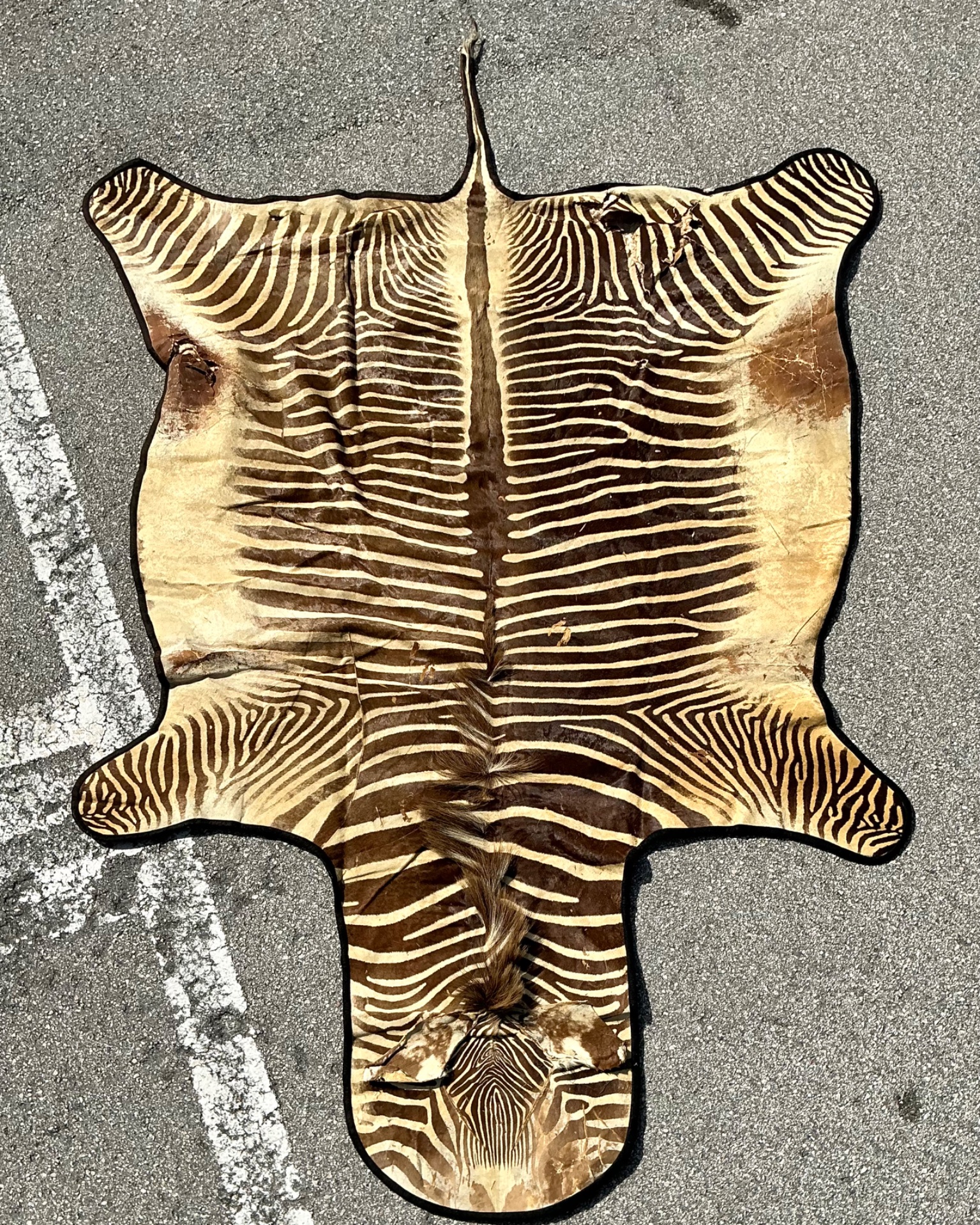 Vintage Zebra Hide Rug - Leather, 118W x 75H - Top view