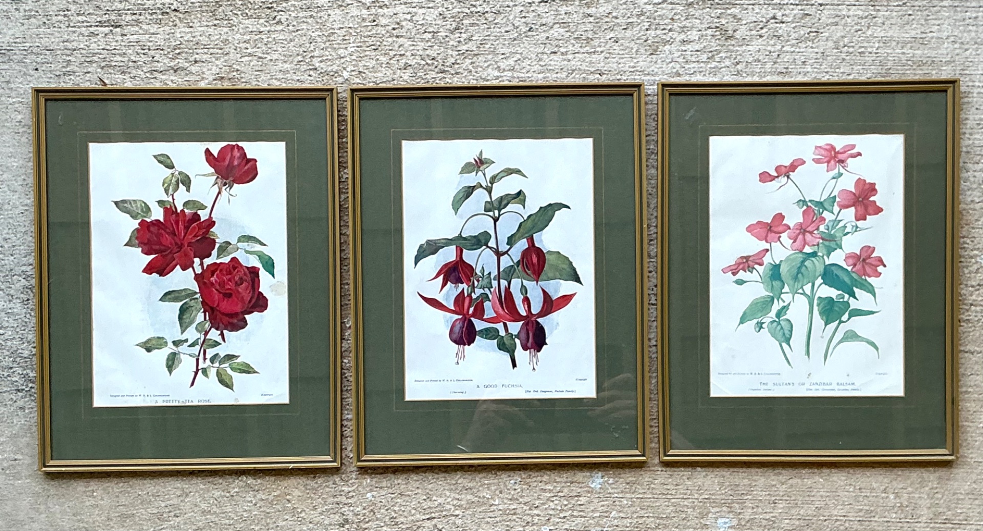 Vintage Botanical Floral Prints in Gilt Frames - Set of 3 - Side view