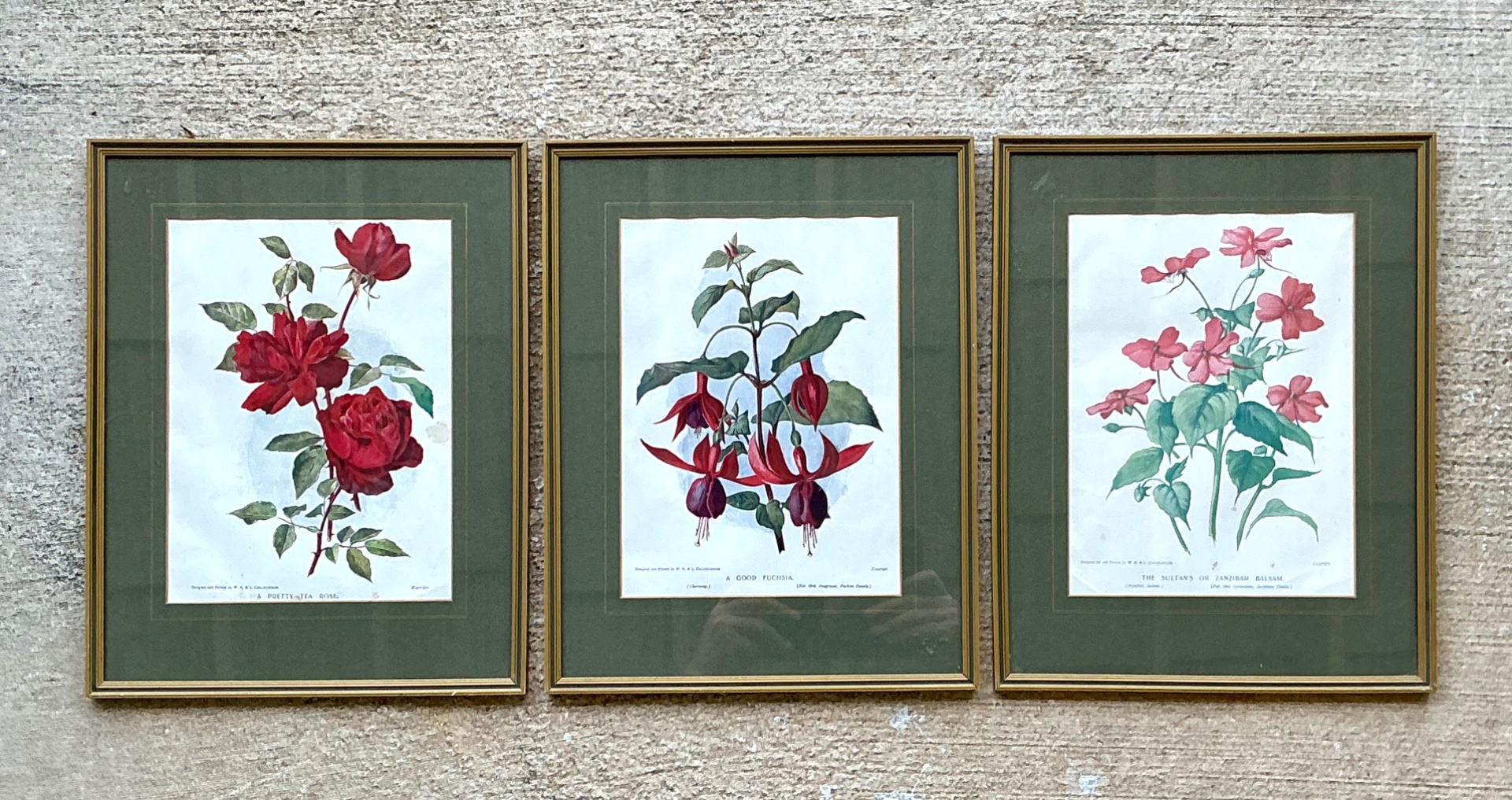 Vintage Botanical Floral Prints in Gilt Frames - Set of 3 - Back view