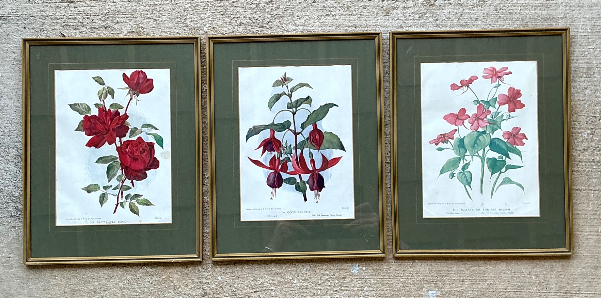 Vintage Botanical Floral Prints in Gilt Frames - Set of 3 - Detail view