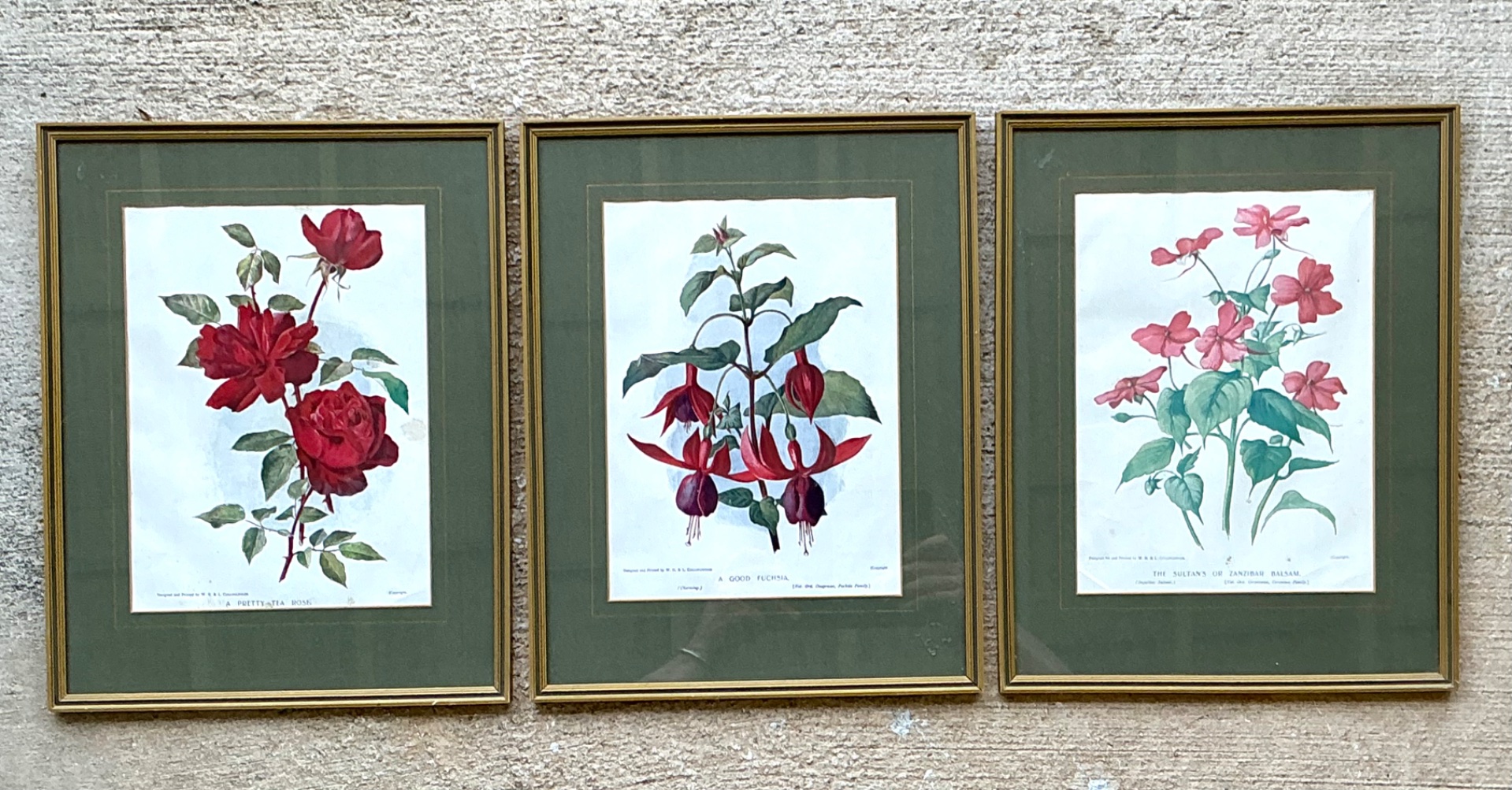 Vintage Botanical Floral Prints in Gilt Frames - Set of 3 - Top view