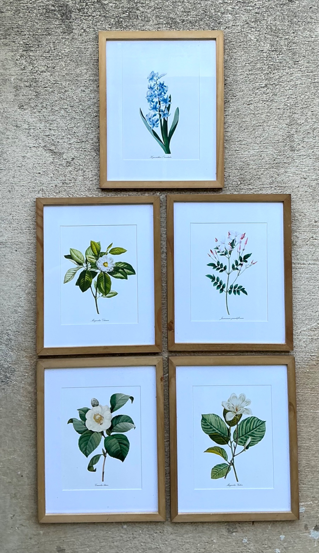 Vintage Botanical Floral Prints in Wood Frames - Set of 5 - Side view