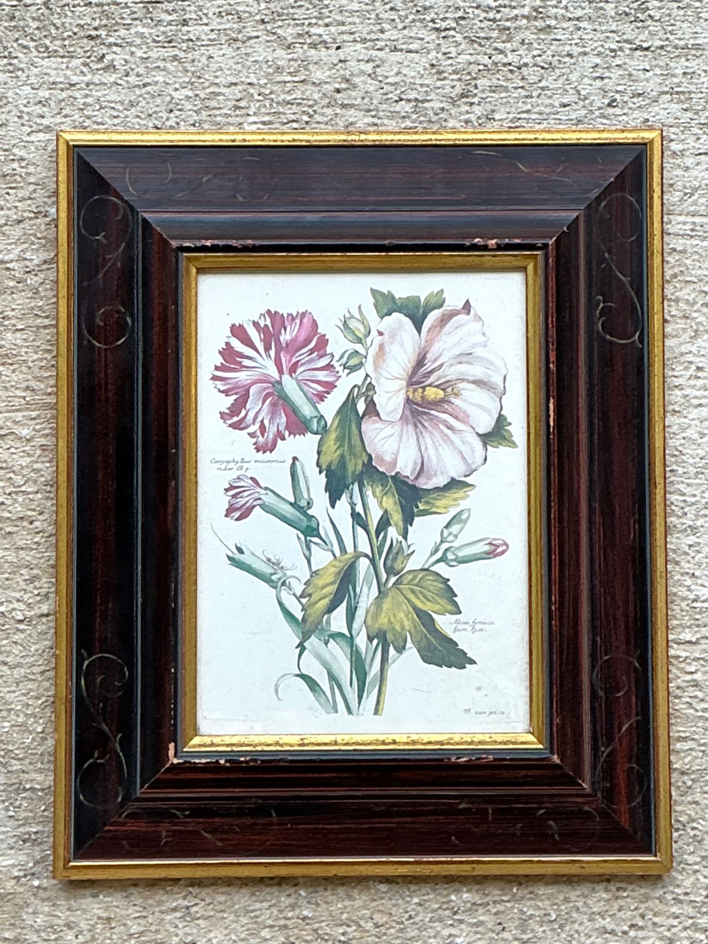 Vintage Chelsea House Botanical Floral Print in Wood Frame - Detail view