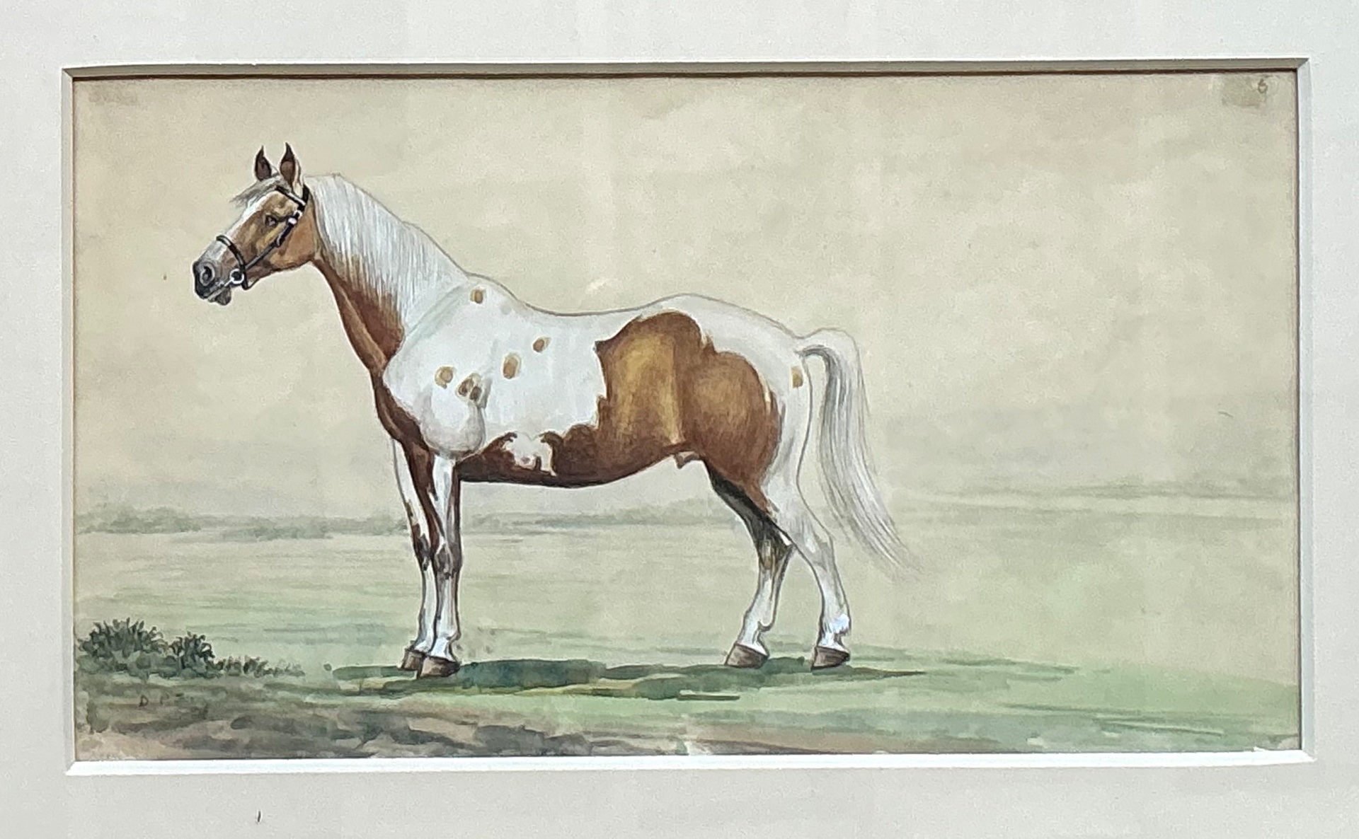 Vintage Equestrian Watercolor Prints in Wood Frames - Set of 4 - Top view