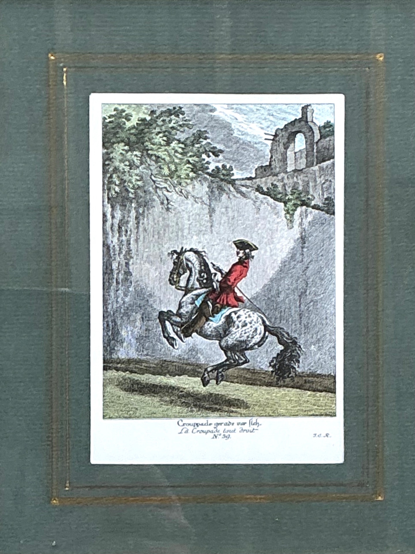 Vintage Equestrian Engravings in Gilt Frames - Set of 6 - Top view