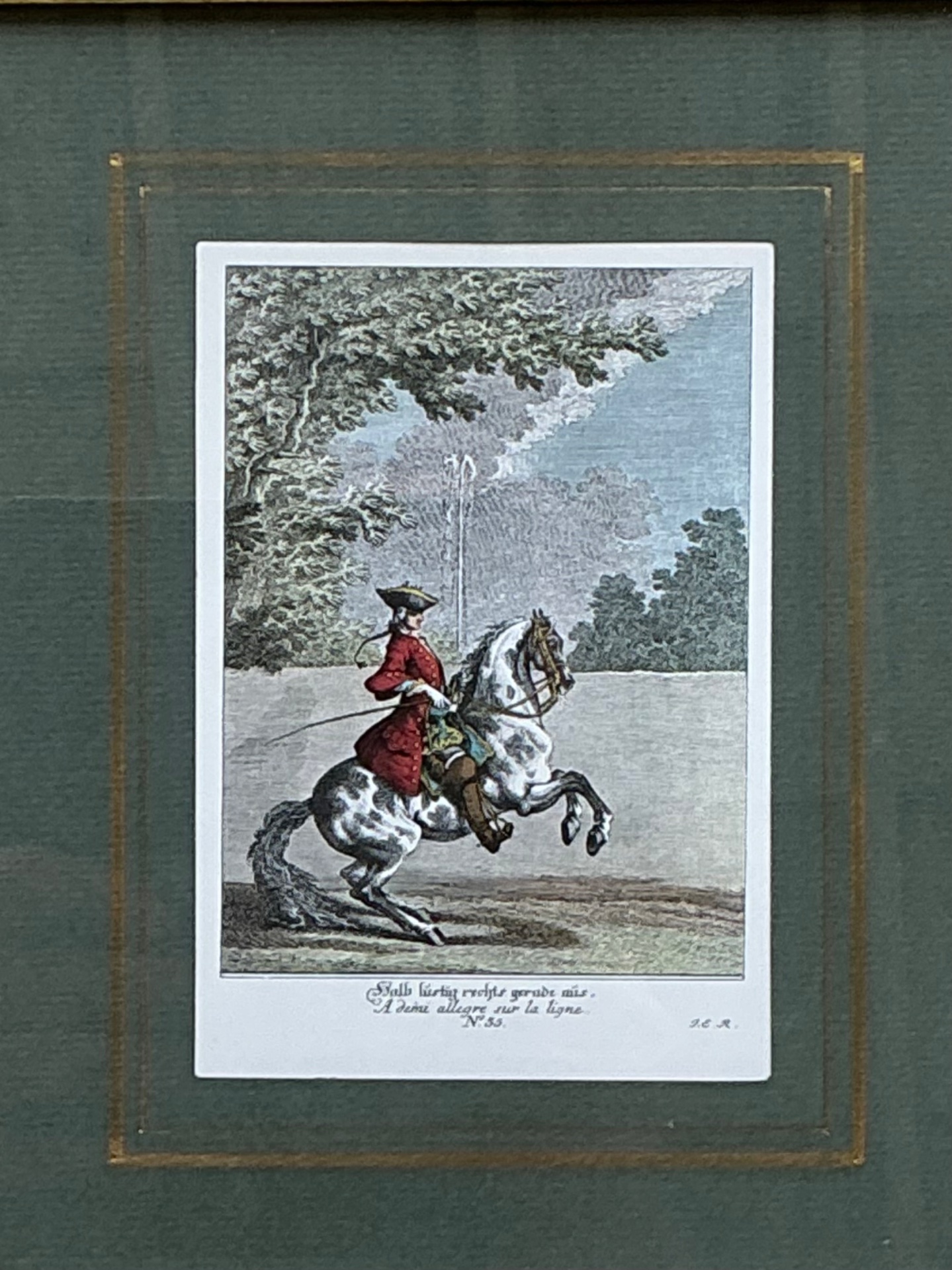 Vintage Equestrian Engravings in Gilt Frames - Set of 6 - Side view