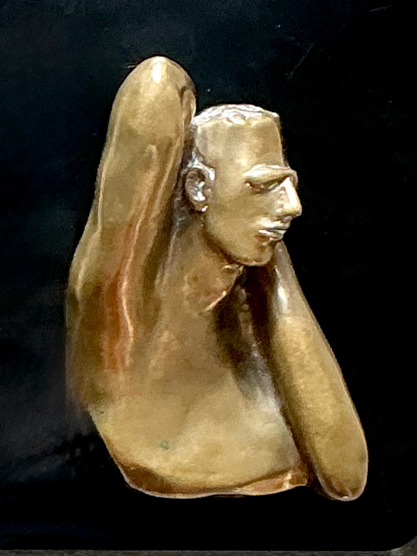 Vintage Bronze Male Bust Wall Sculpture - Top view