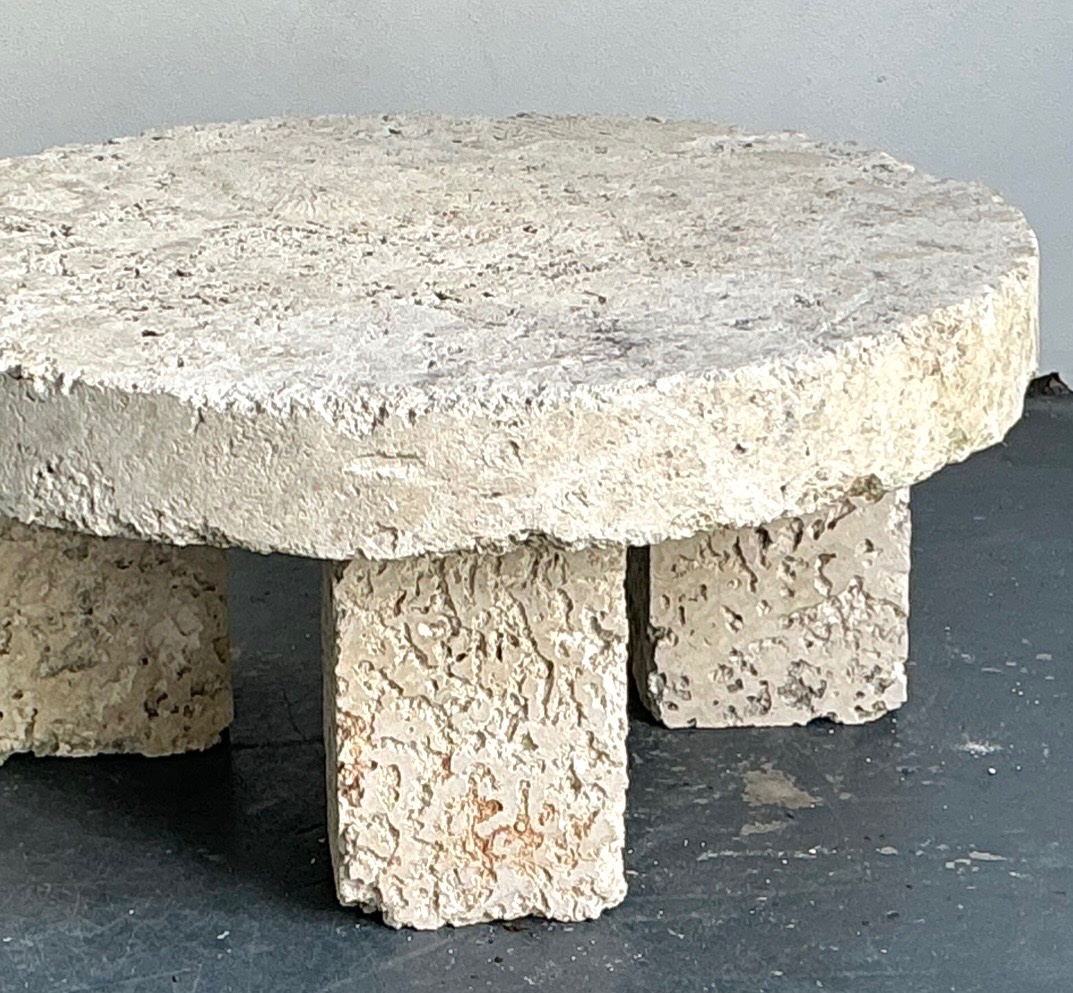 Vintage Organic Form Coquina Coffee Table - Back view