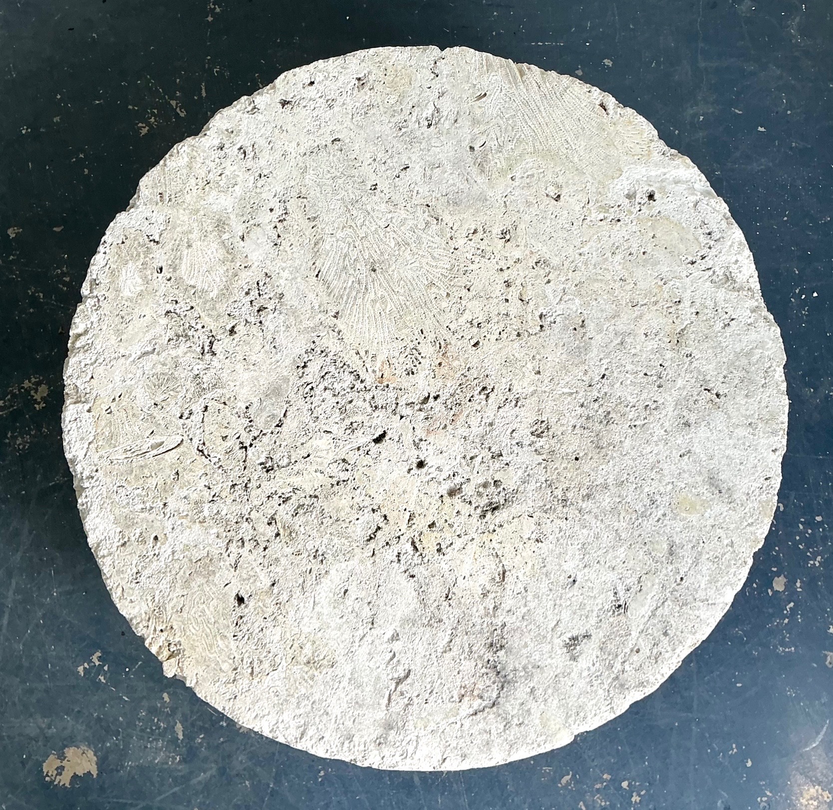 Vintage Organic Form Coquina Coffee Table - Top view
