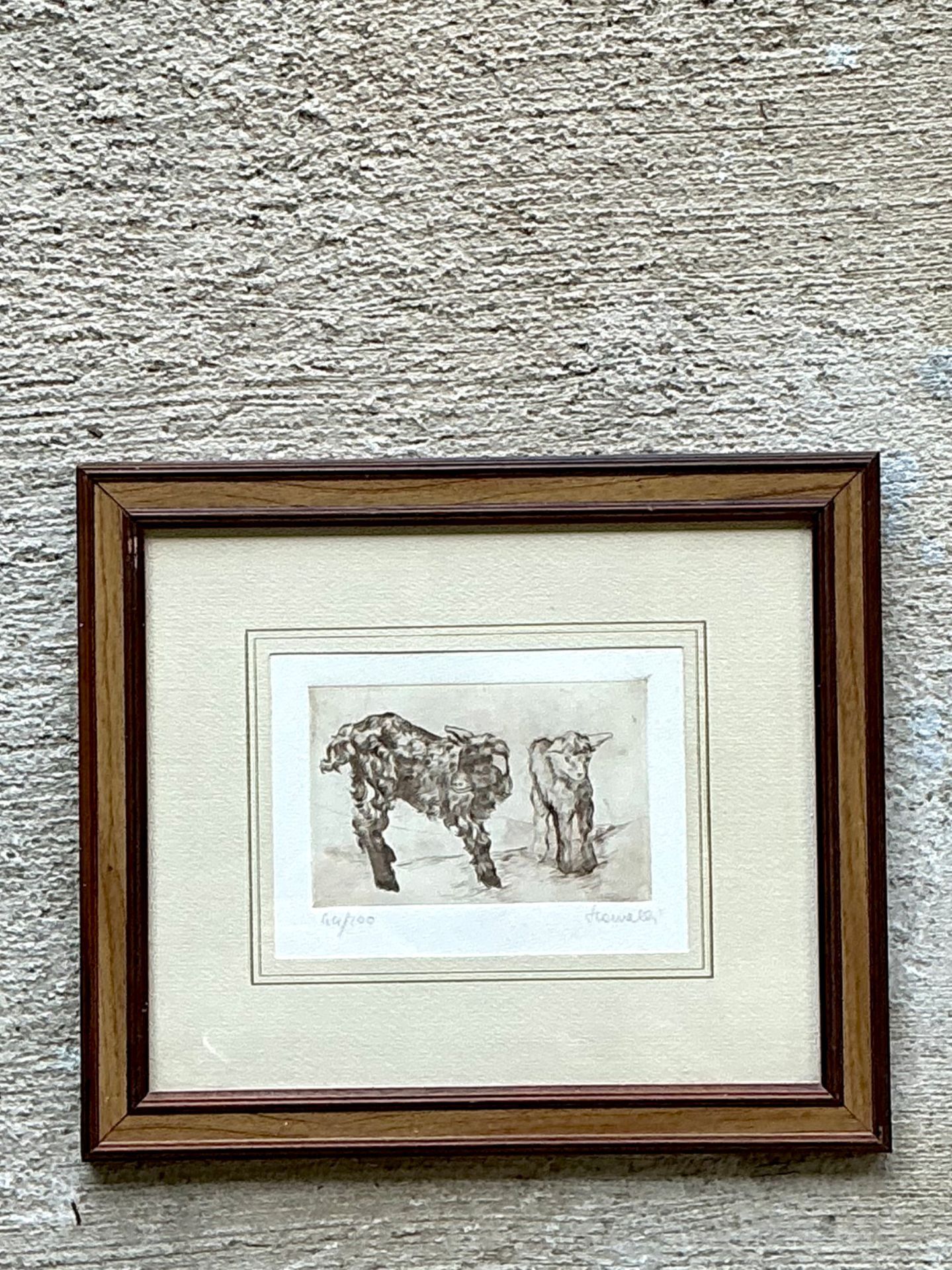 Framed Figurative Animal Etching - Top view