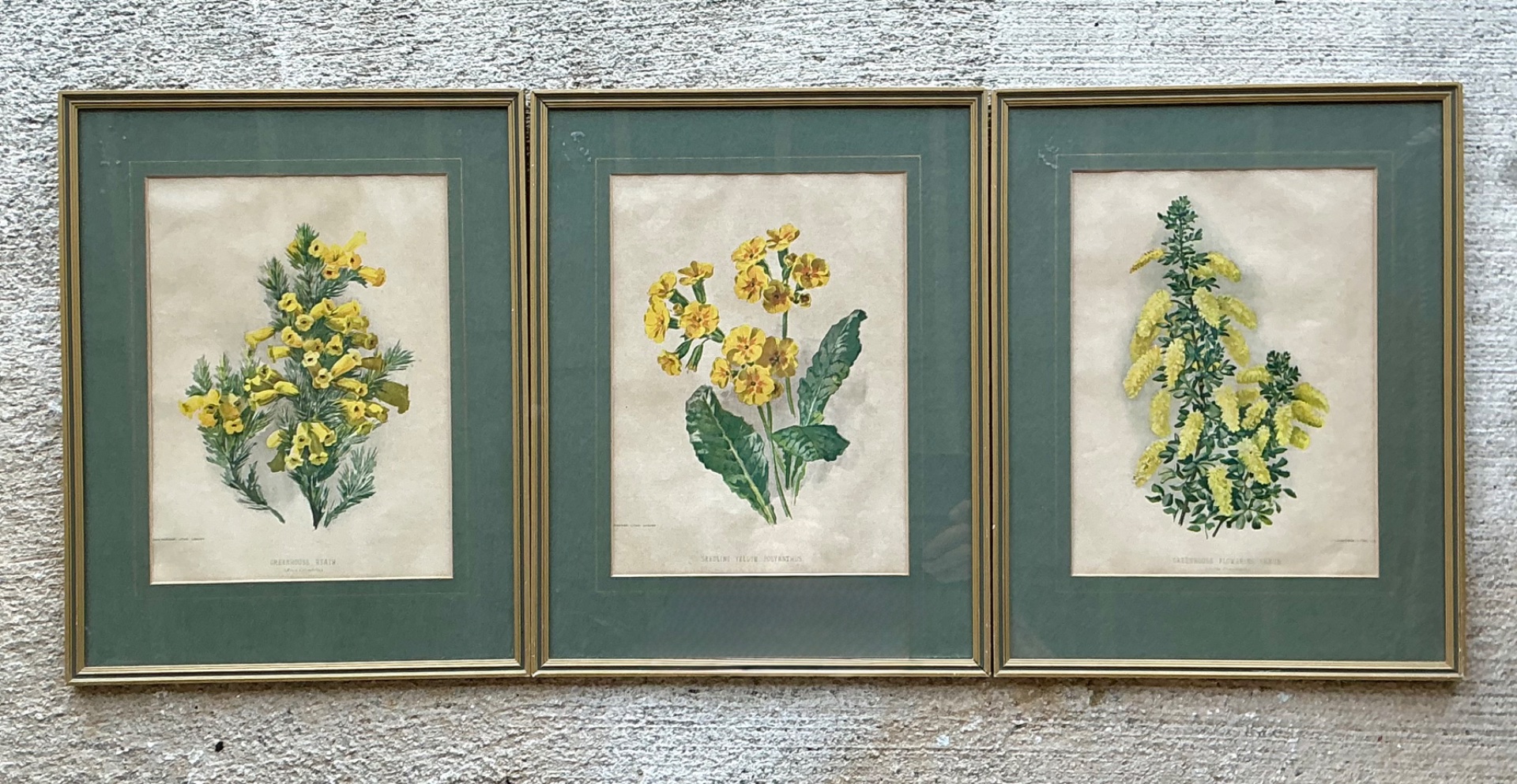 Vintage Framed Botanical Floral Illustrations - Set of 3 - Back view