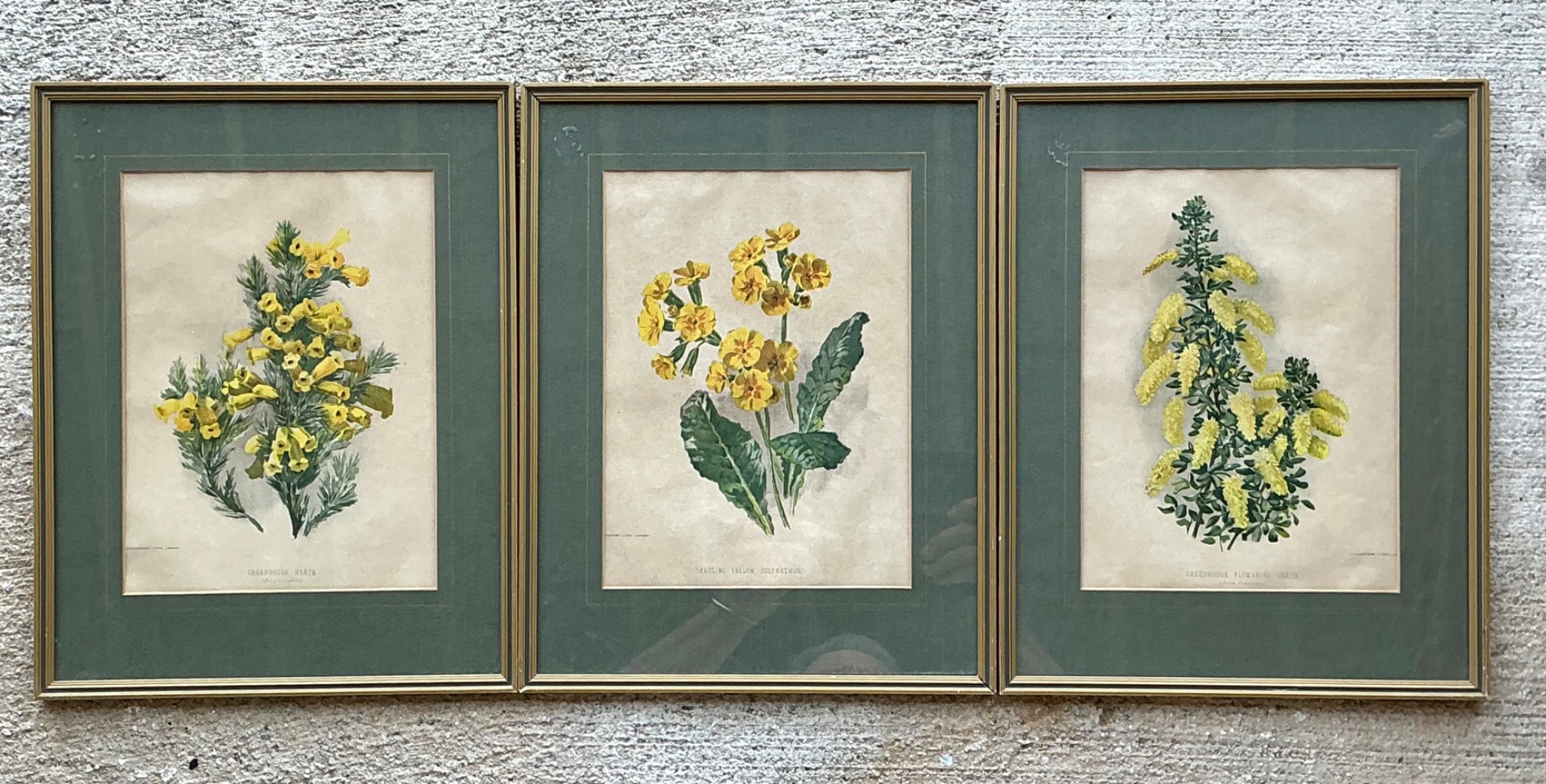 Vintage Framed Botanical Floral Illustrations - Set of 3 - Detail view