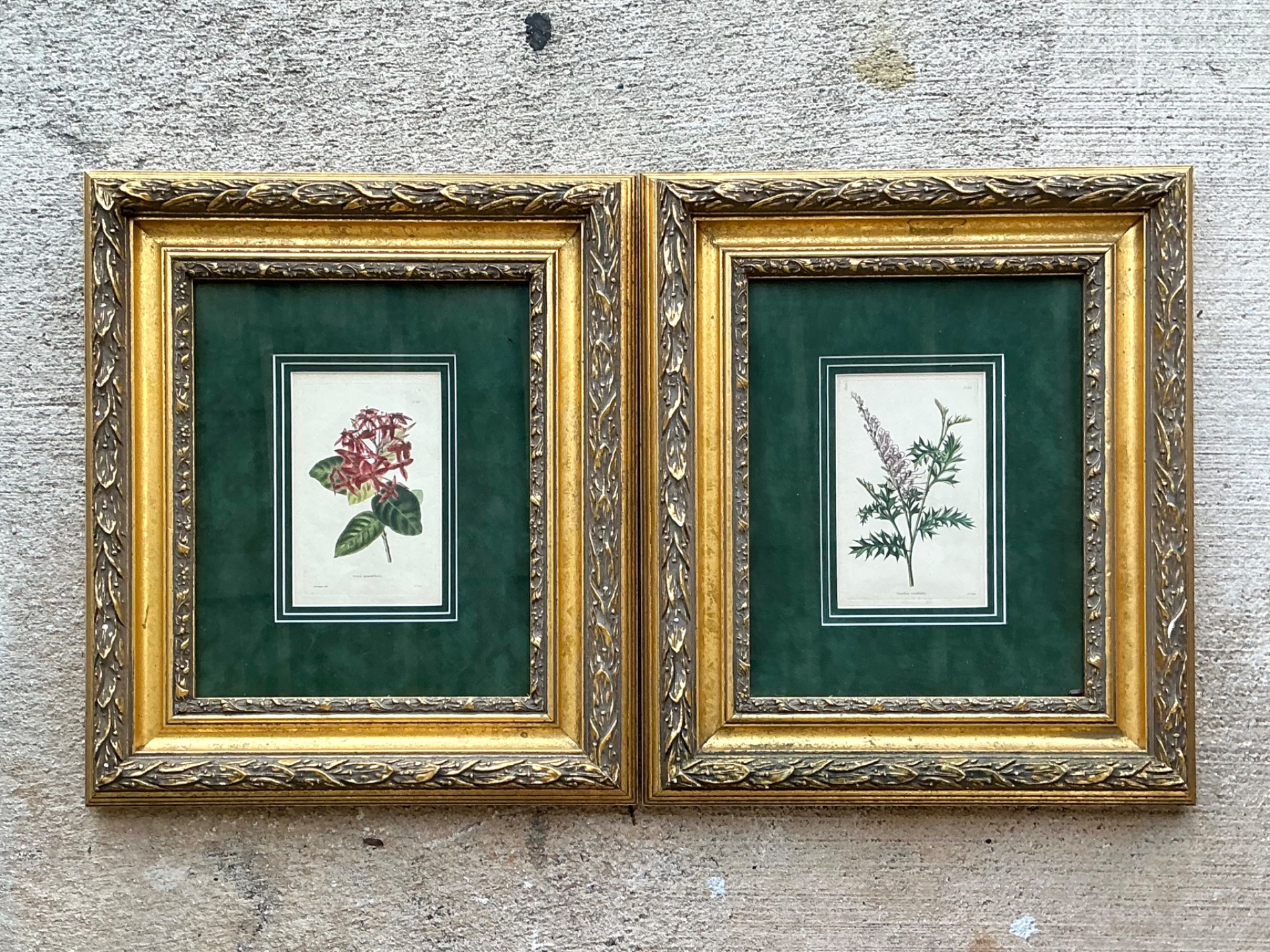 Vintage Framed Botanical Floral Prints - A Pair - Detail view