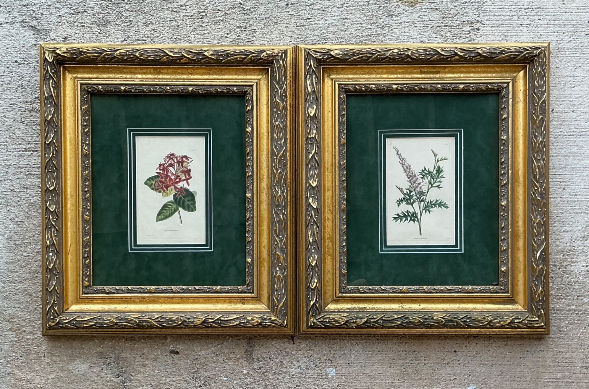 Vintage Framed Botanical Floral Prints - A Pair - Back view