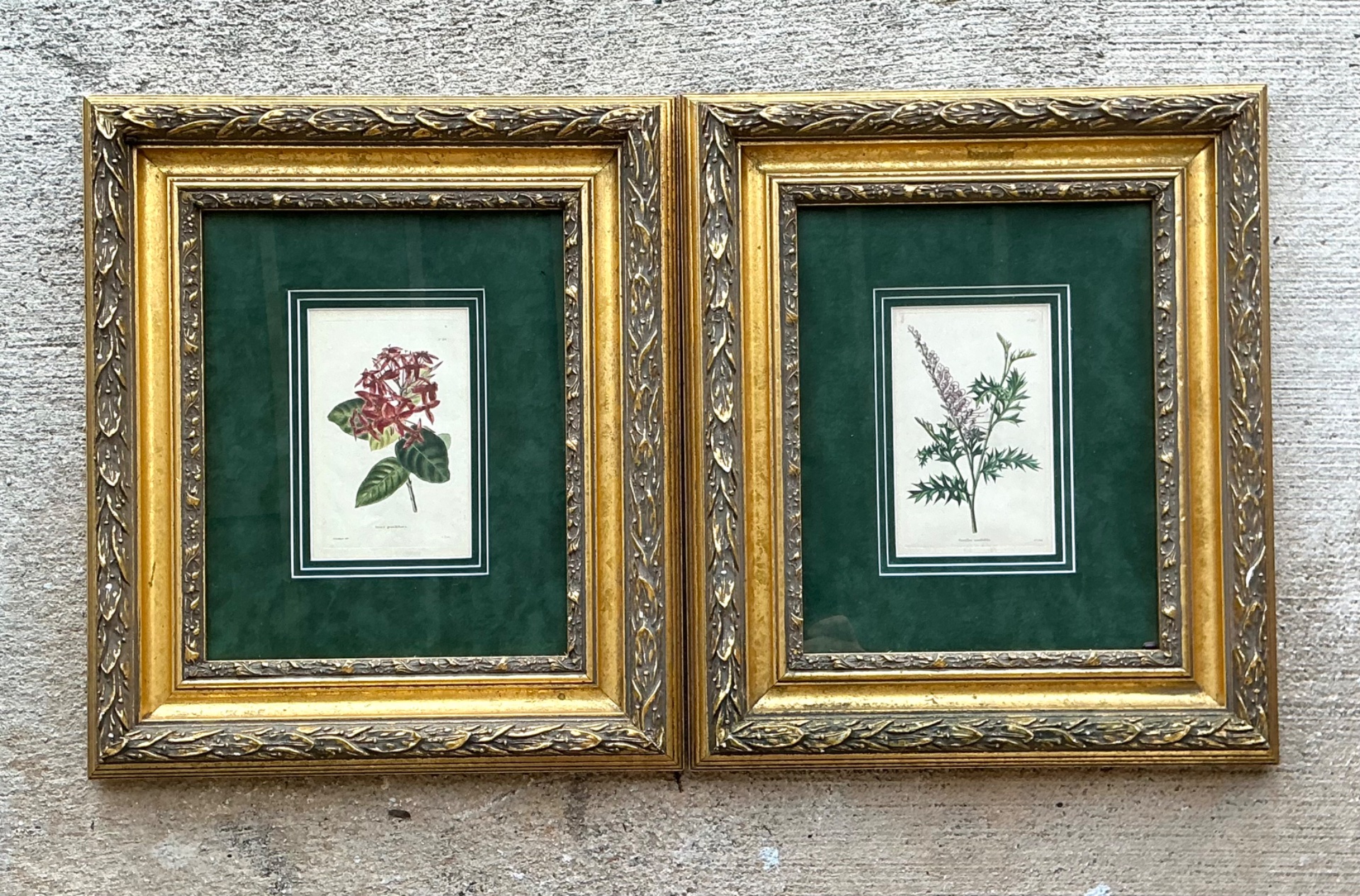 Vintage Framed Botanical Floral Prints - A Pair - Top view