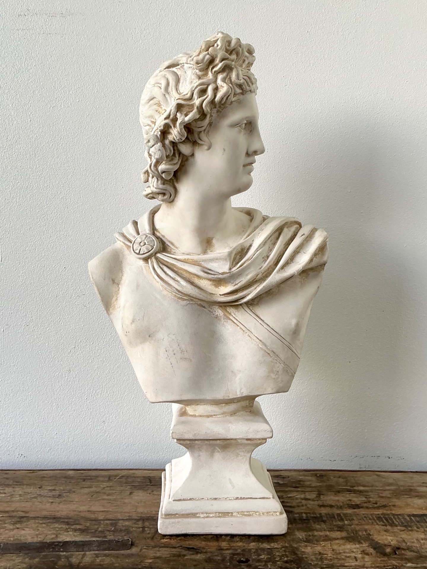 Ceramic Apollo Belvedere Bust Sculpture - Side view