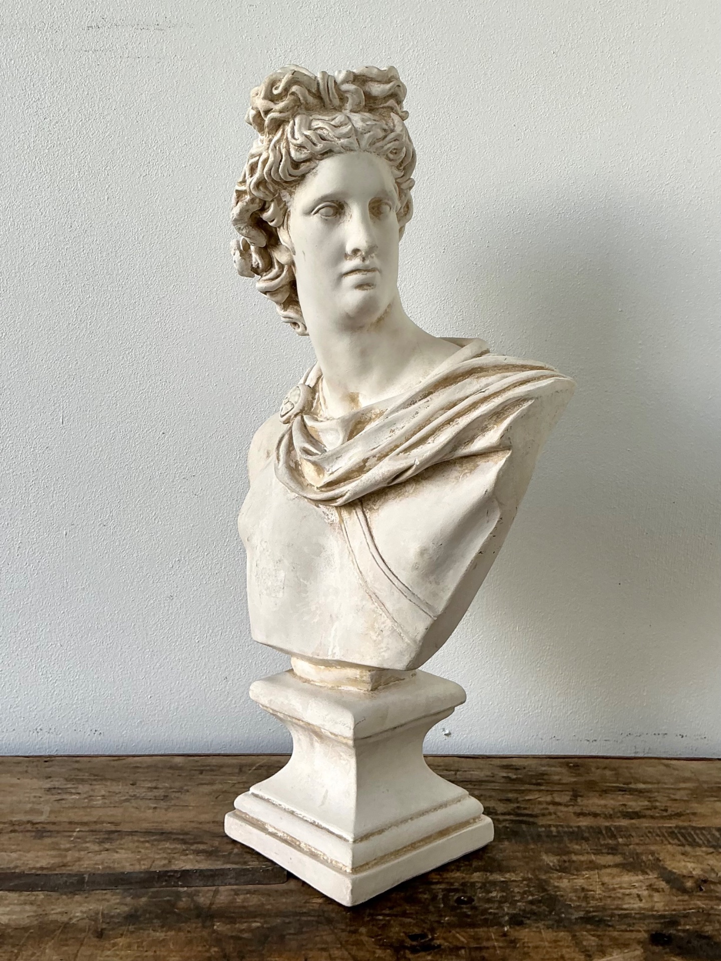 Ceramic Apollo Belvedere Bust Sculpture - Detail view