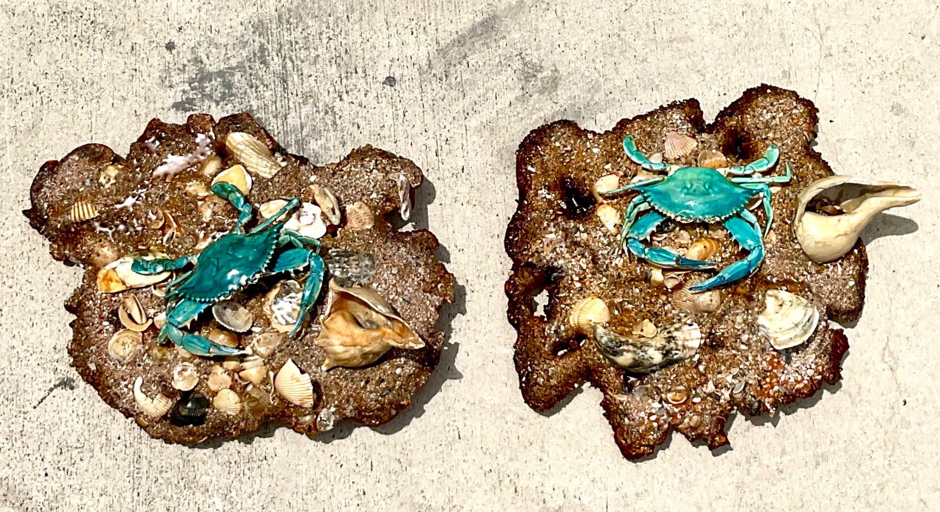 Vintage Coastal Crab and Shells Wall Art - Shell, 18W x 17H - Back view
