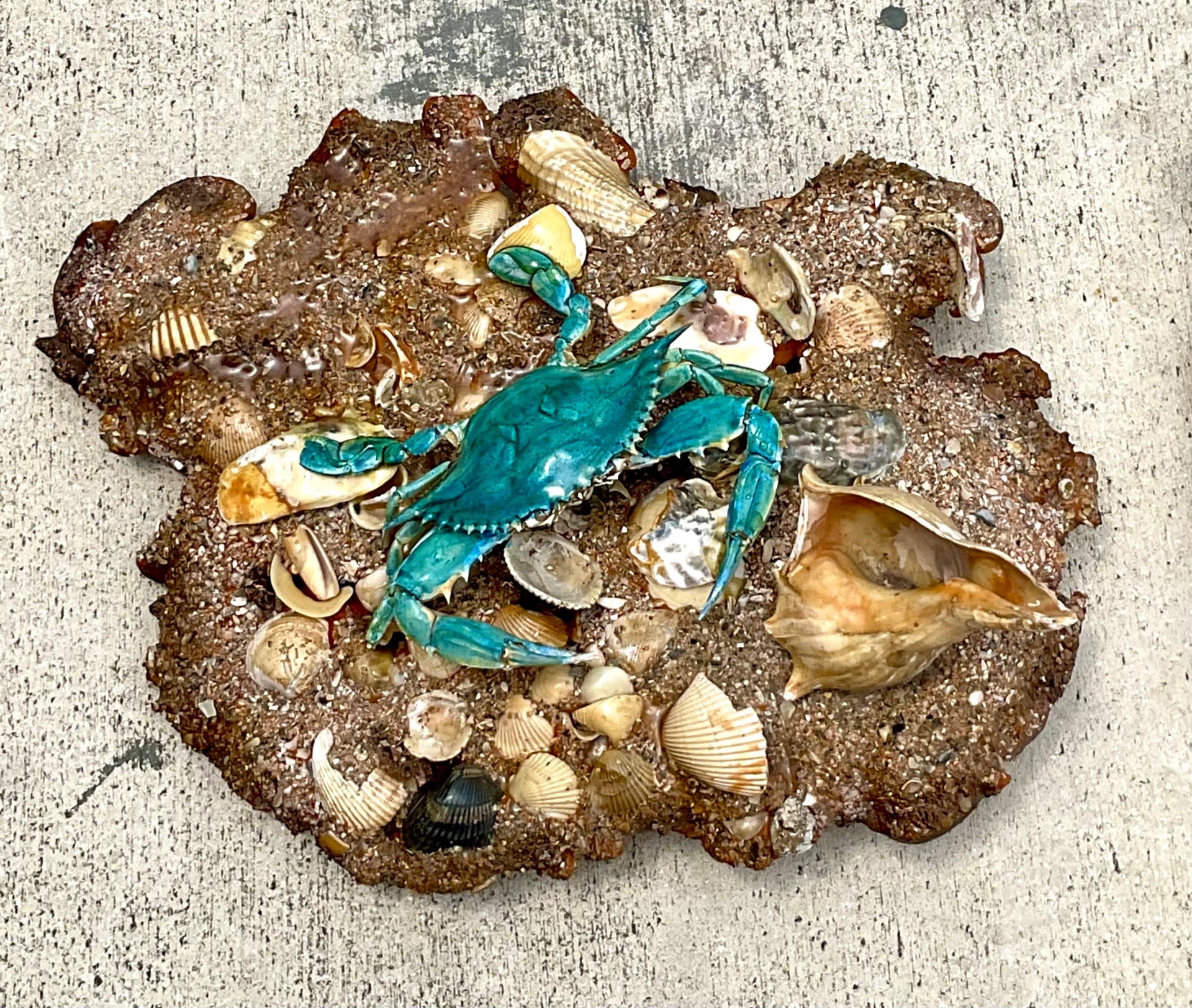 Vintage Coastal Crab and Shells Wall Art - Shell, 18W x 17H - Side view