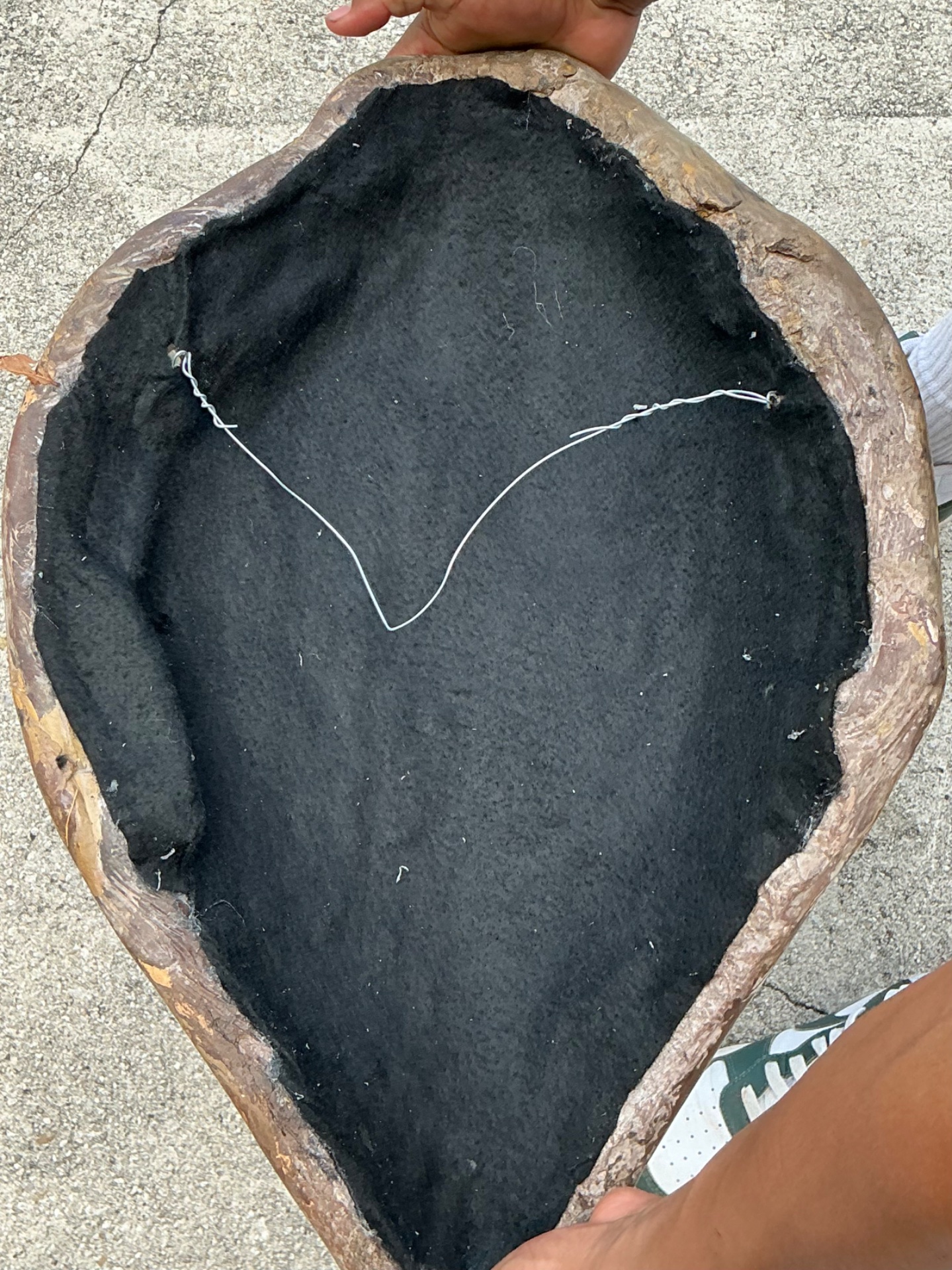 Vintage Italian Scagliola Pigmented Plaster Turtle Shell - Brown, 15.25W x 22.5H - Side view