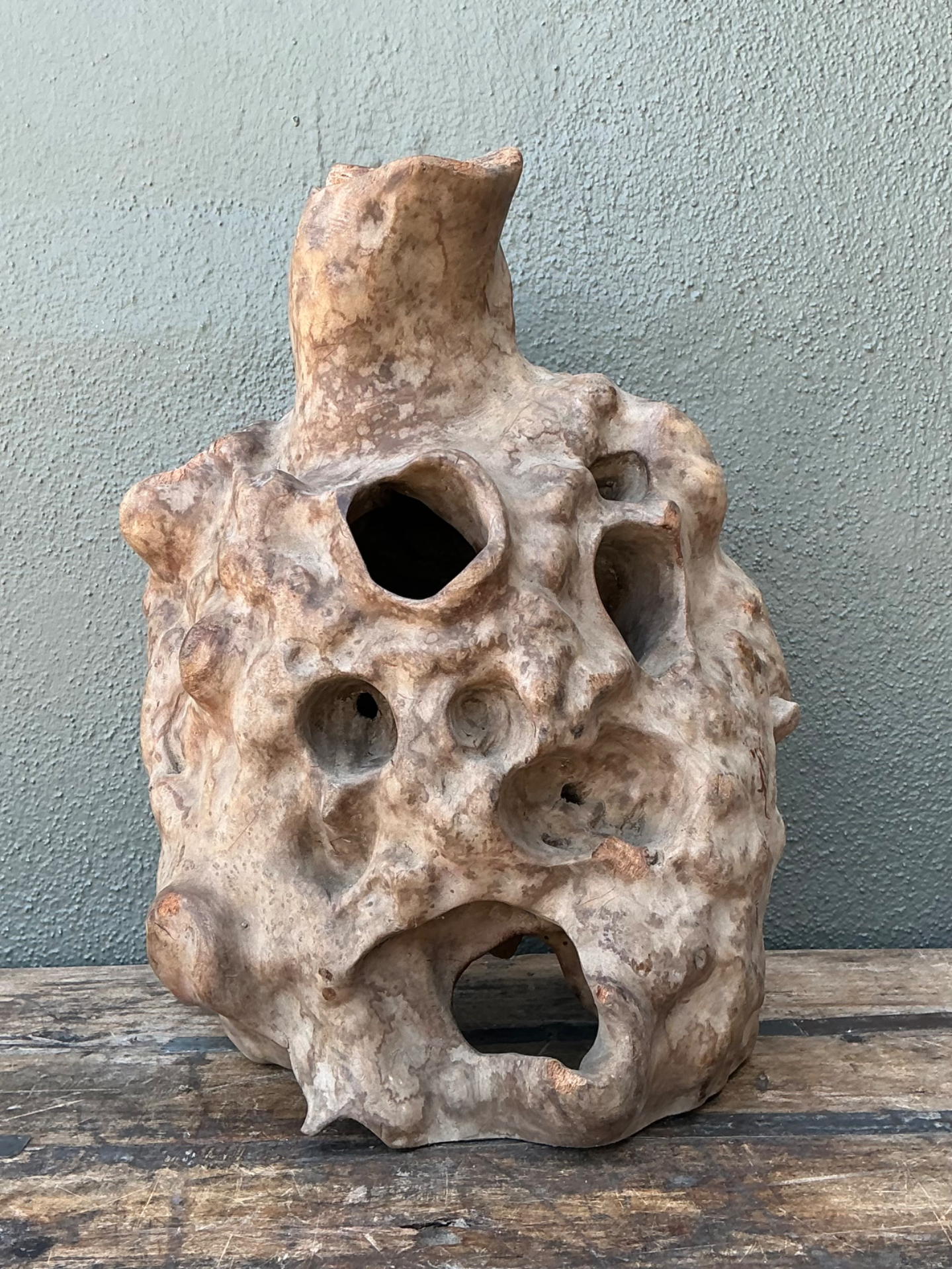 Vintage Organic Wood Knot Sculpture - Side view