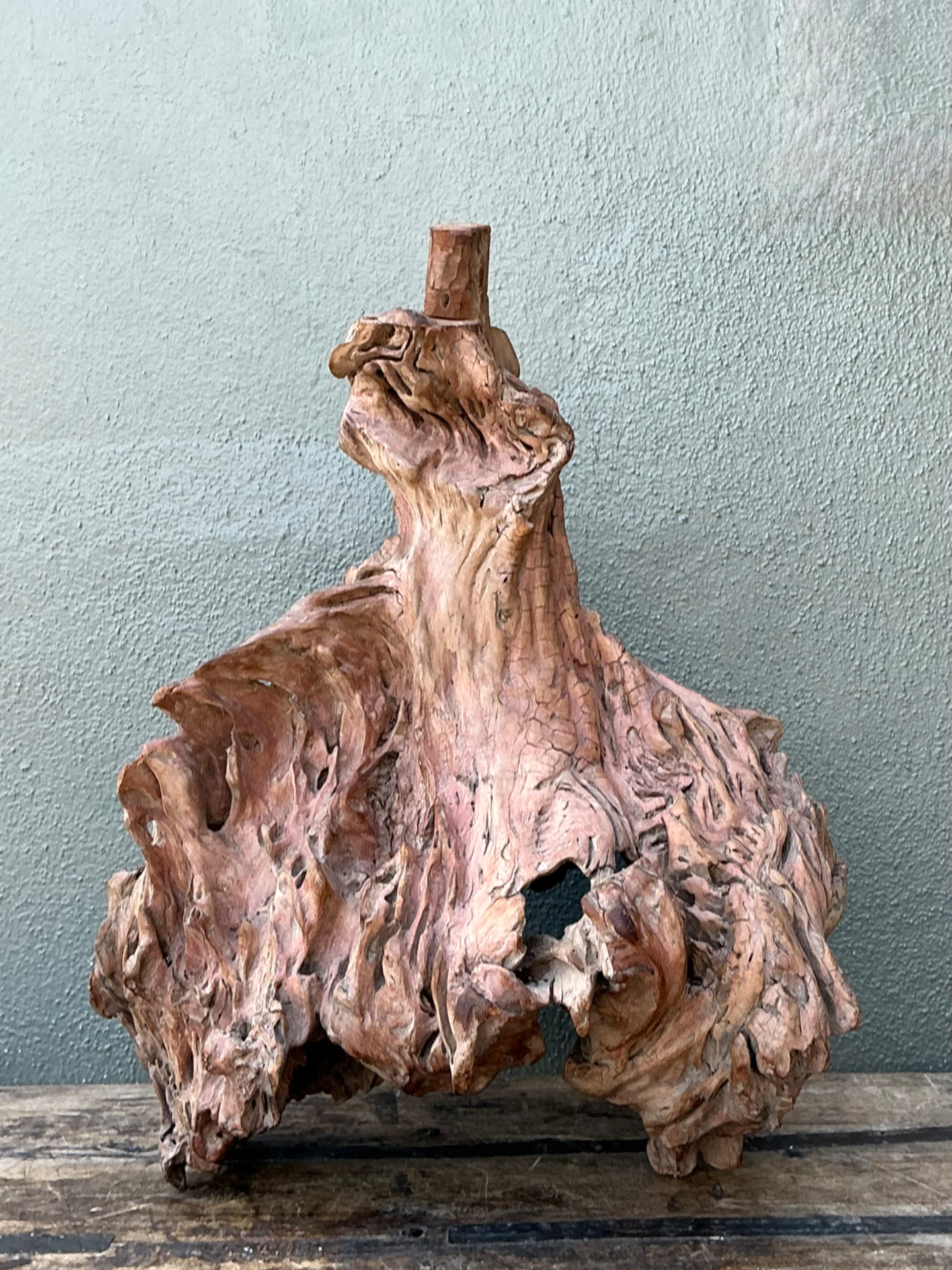Vintage Organic Driftwood Decorative Object - Side view