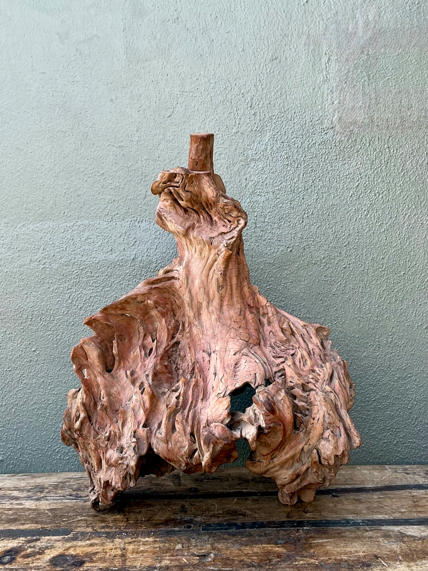 Vintage Organic Driftwood Decorative Object - Top view