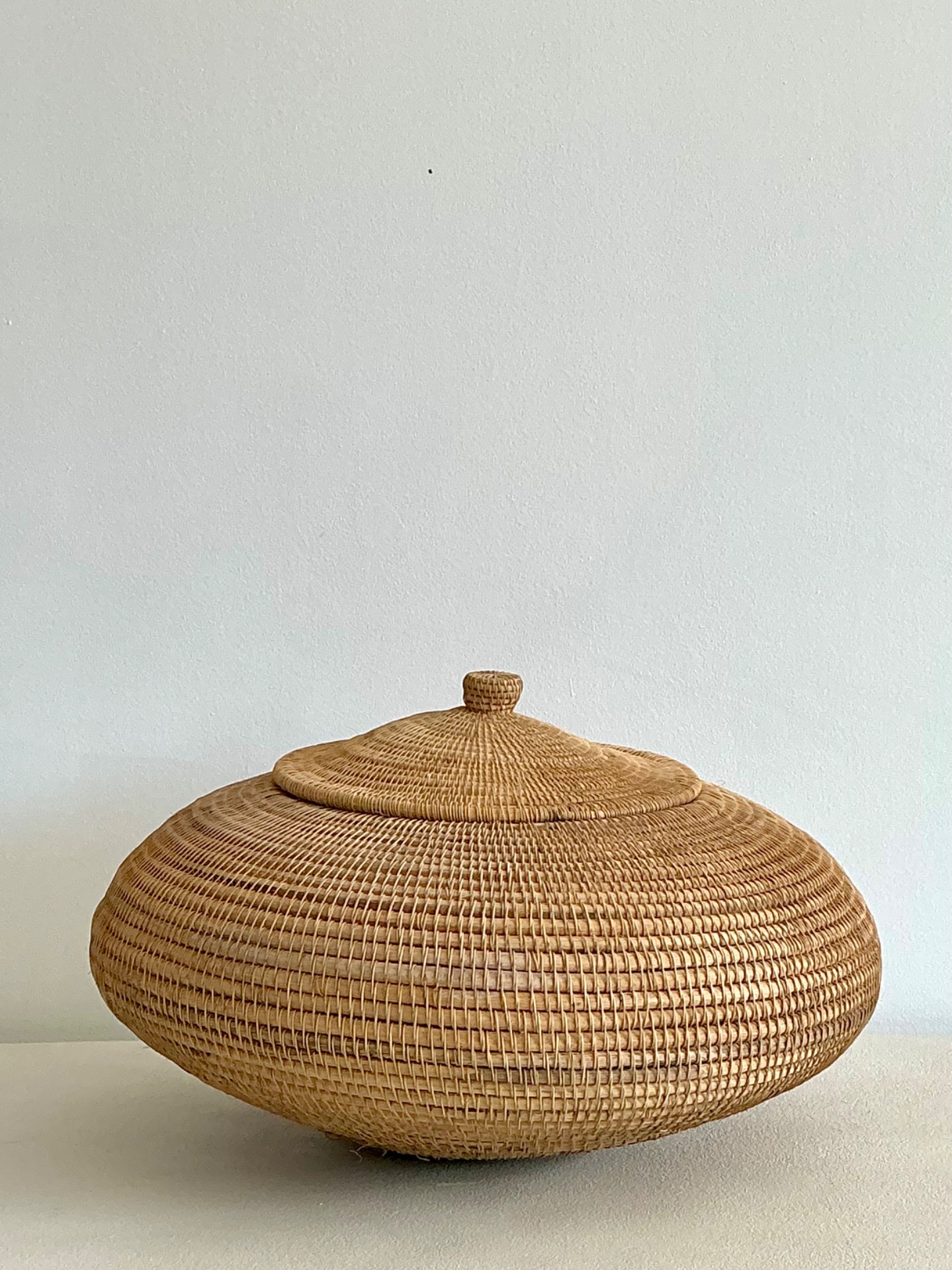 Vintage Woven Natural Fiber Lidded Basket - Back view