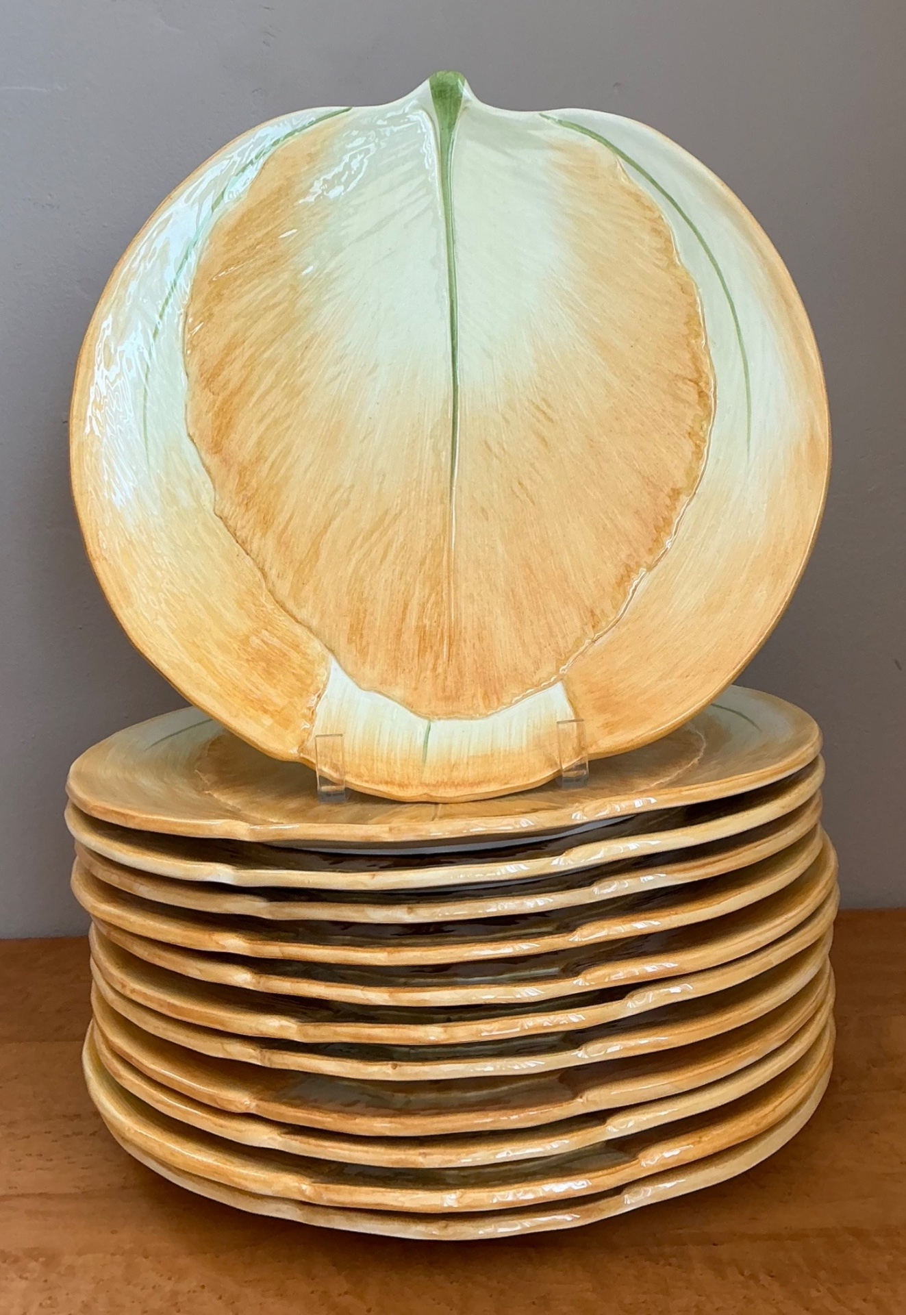 Vintage Italian Botanical Ceramic Dinner Plates - Set of 12 - Top view