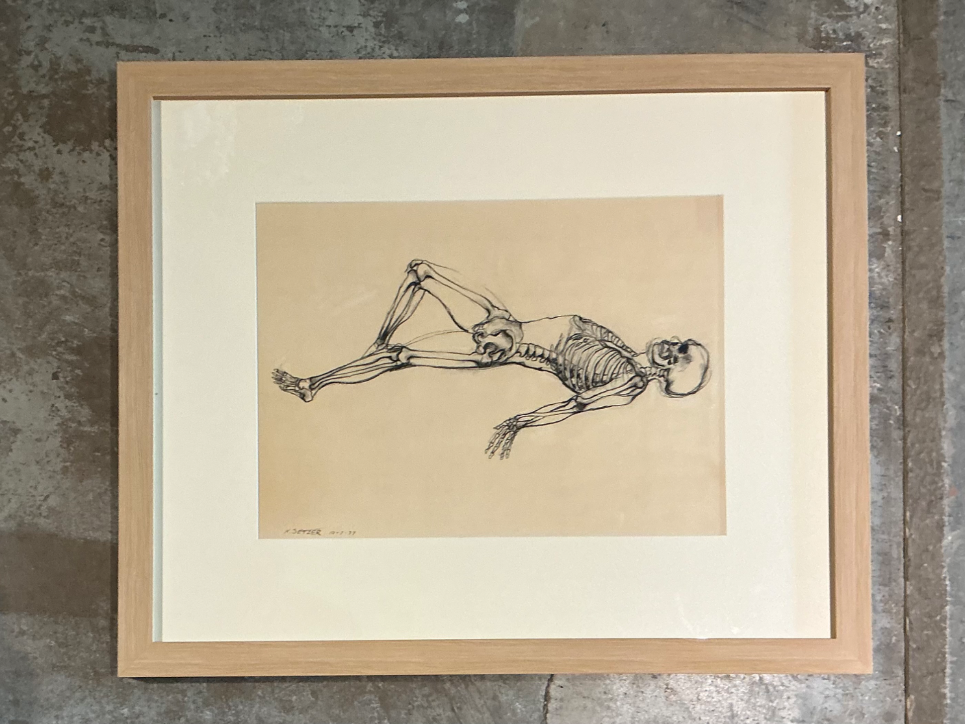 Vintage Framed Reclining Skeleton Study on Paper - Side view