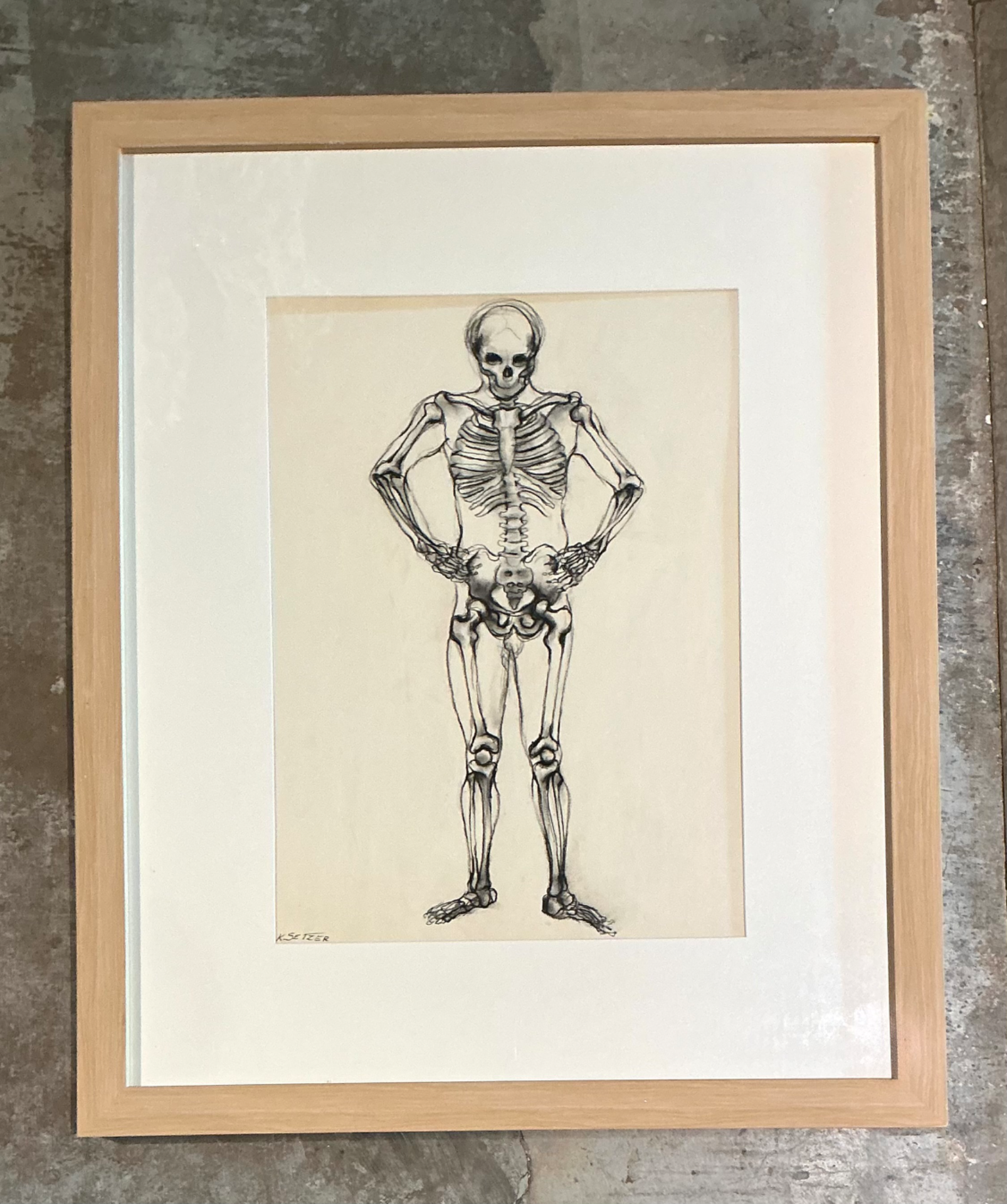 Vintage Framed Skeleton Study on Paper - Side view