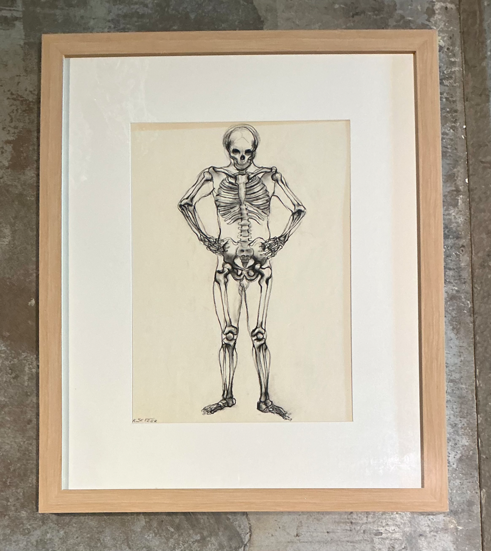 Vintage Framed Skeleton Study on Paper - Top view