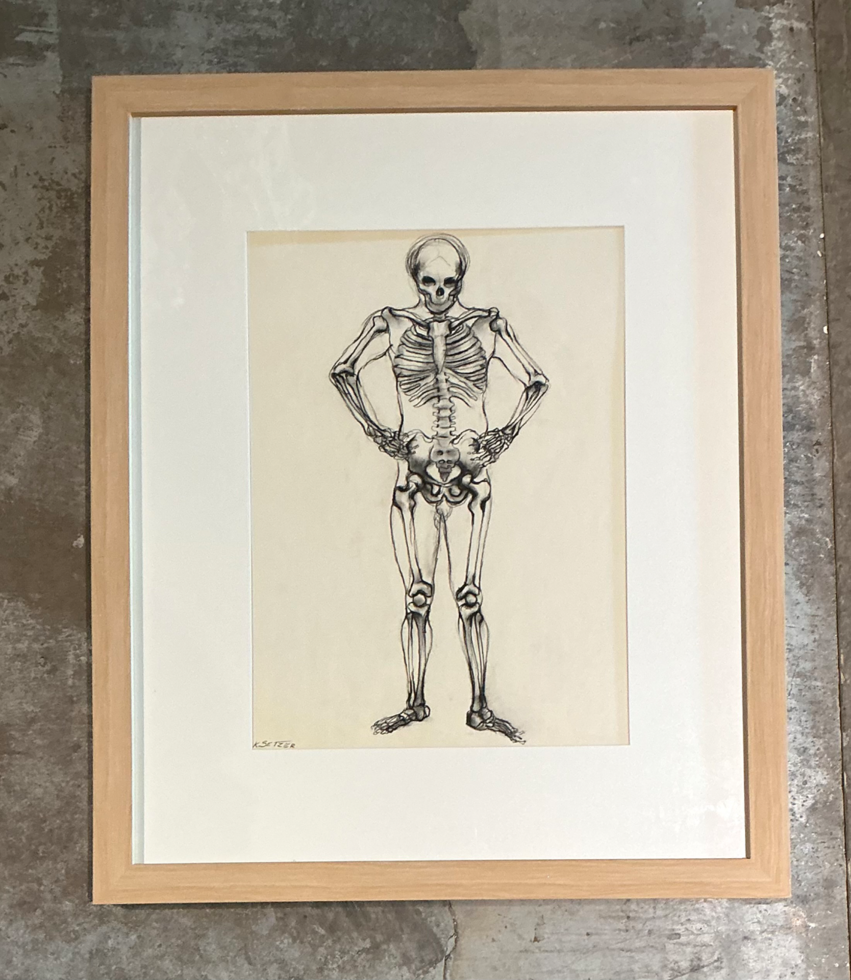 Vintage Framed Skeleton Study on Paper - Back view
