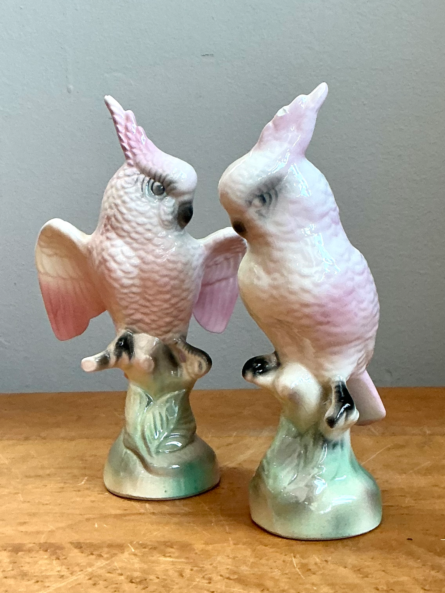 Vintage Ceramic Cockatoo Figurines - Pair - Top view