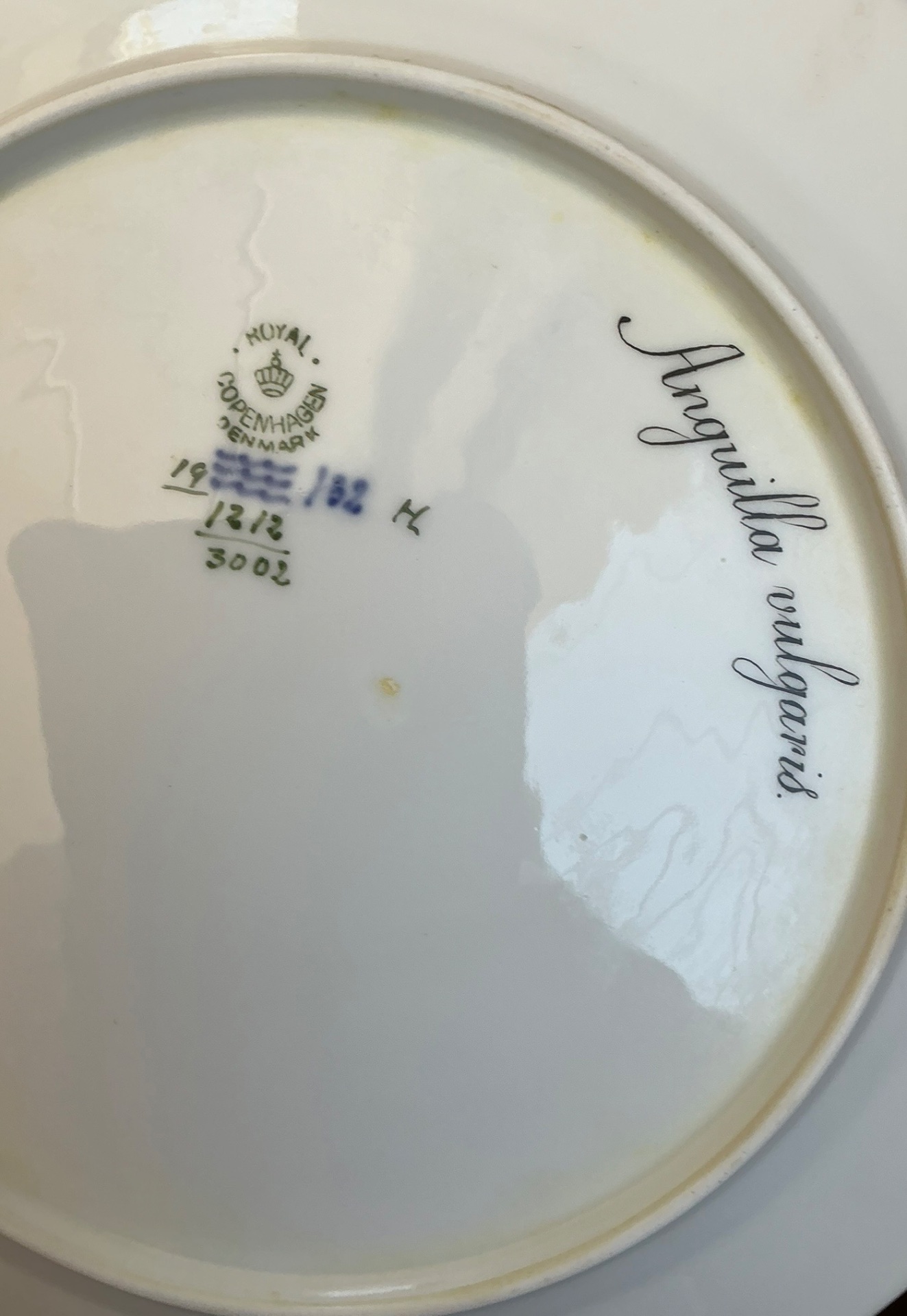 Vintage Royal Copenhagen Ichthyological Porcelain Plates - Set of 12 - Back view