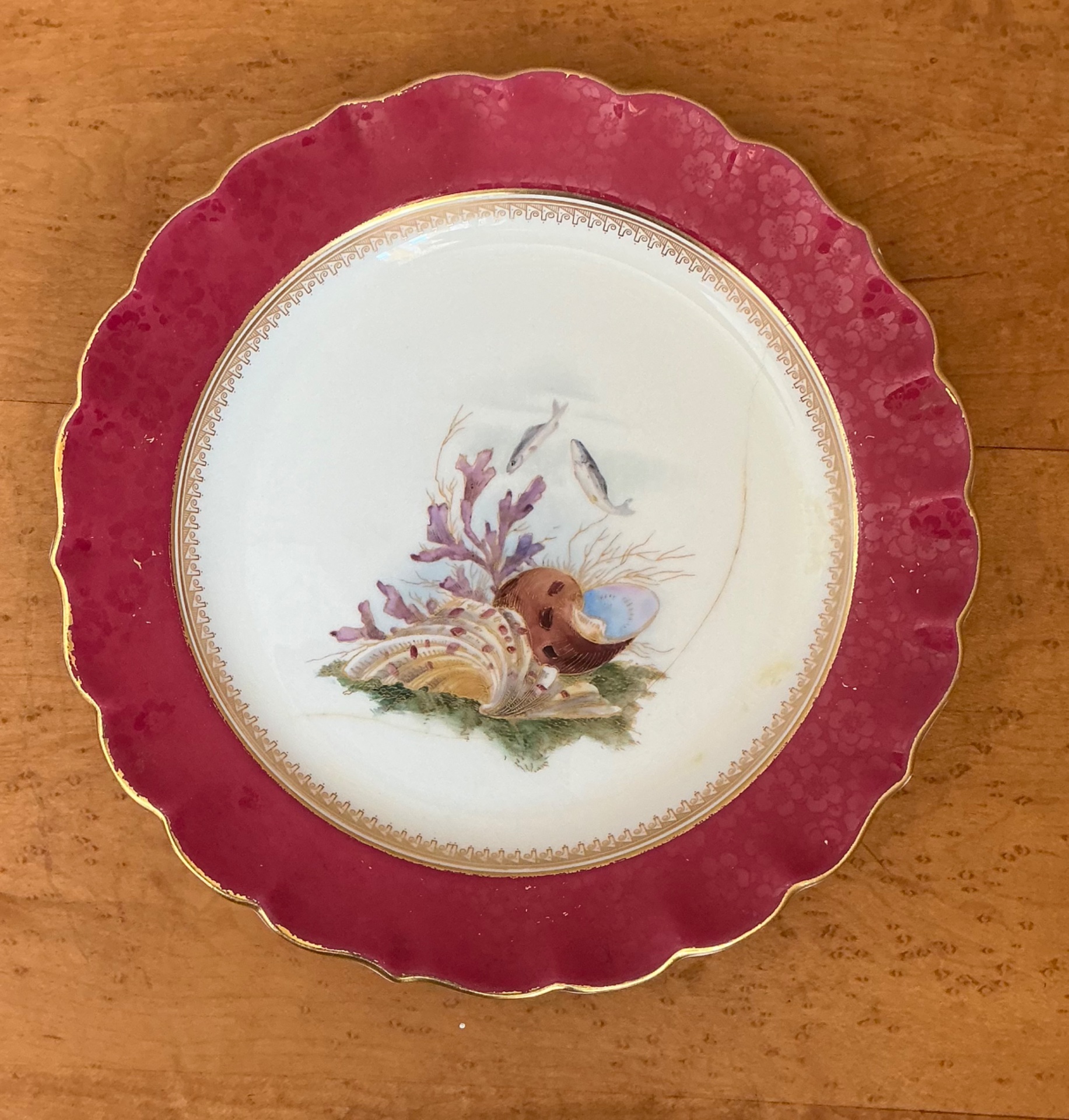 Vintage Sea Life Decorated Dinner Plates - Set of 12 - Top view