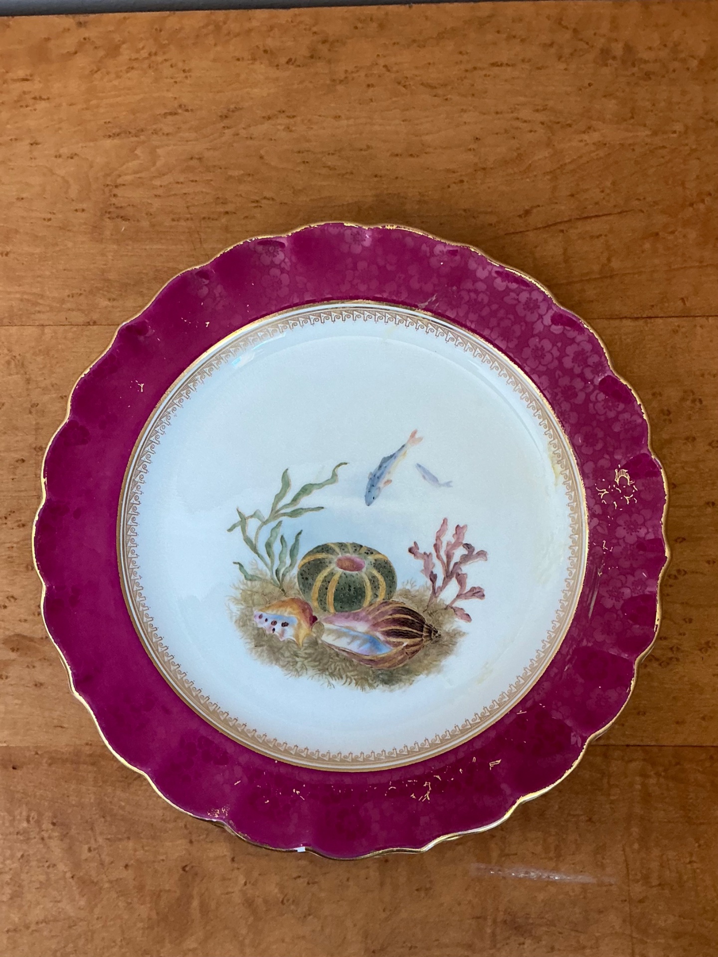 Vintage Sea Life Decorated Dinner Plates - Set of 12 - Detail view