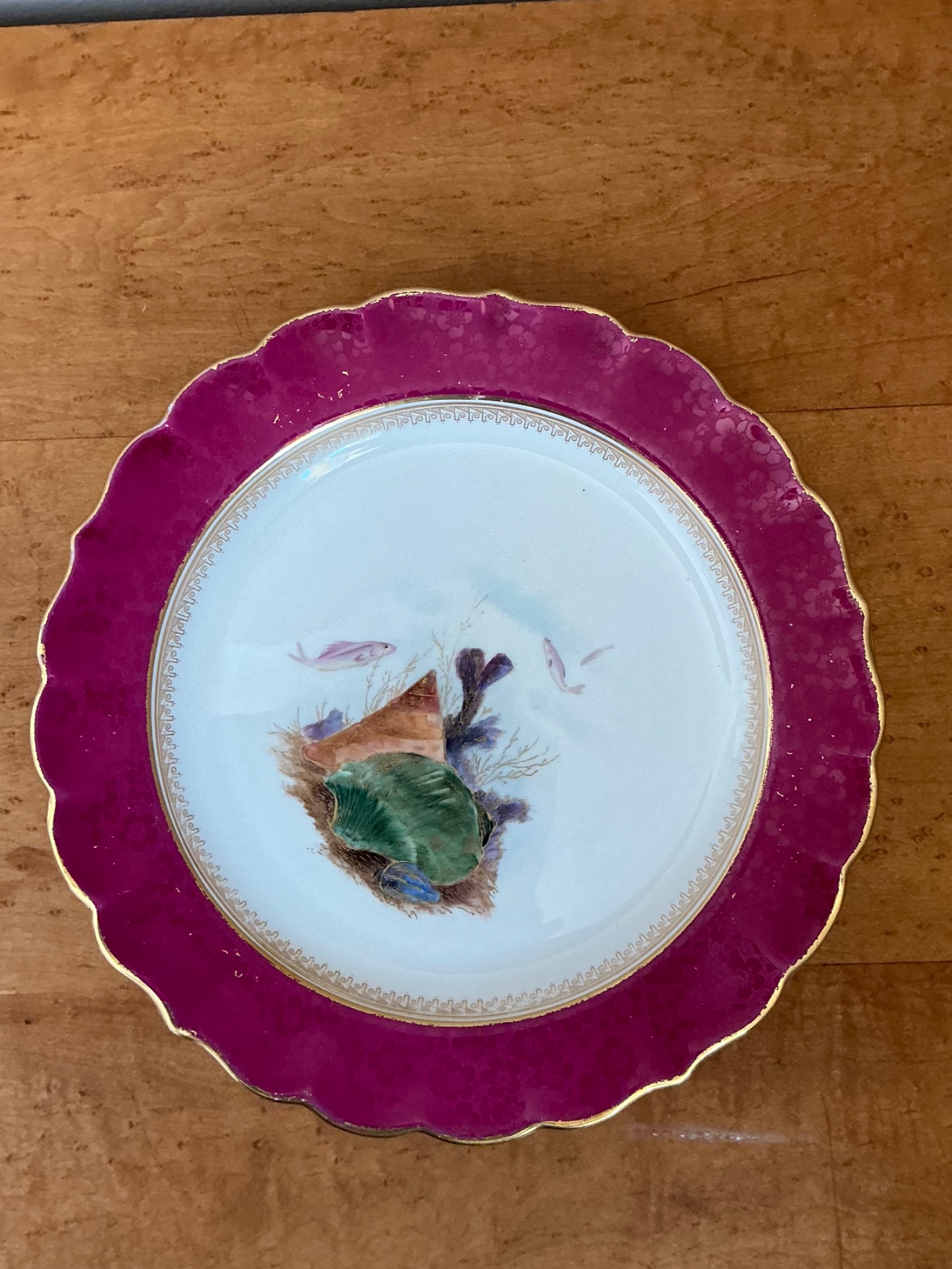 Vintage Sea Life Decorated Dinner Plates - Set of 12 - Back view
