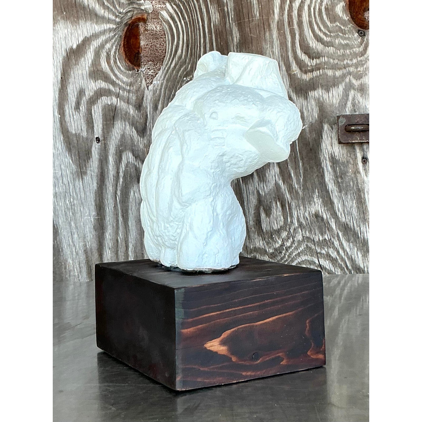 Mid 20th Century Vintage Boho Plaster Torso of Man - Side view