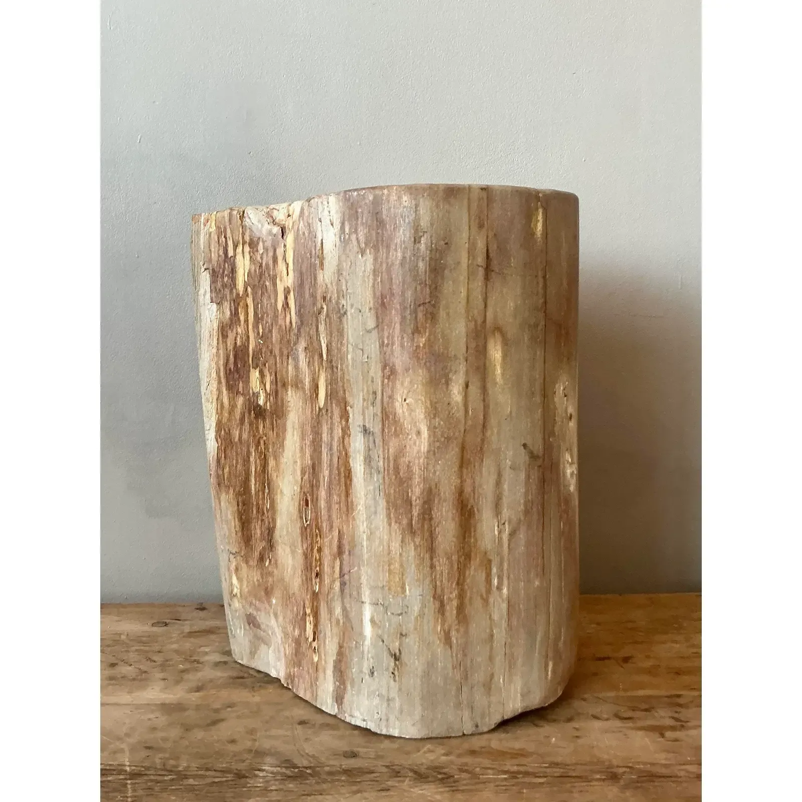 Vintage Boho Petrified Wood Stool - Top view