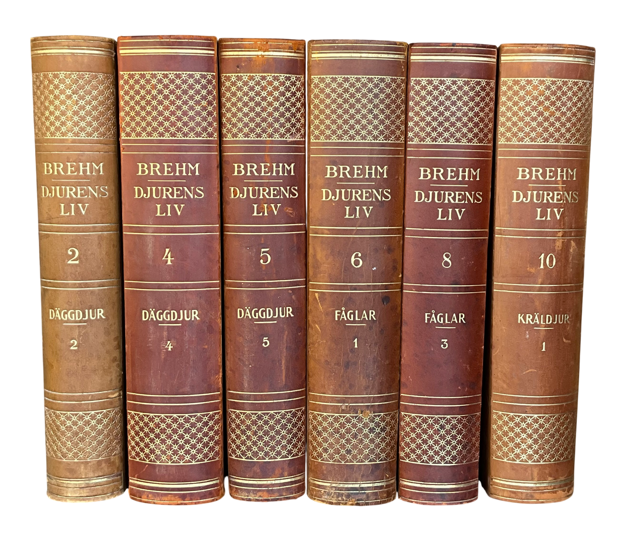 Vintage Brehm Djurens Liv- Set of 6 - Detail view