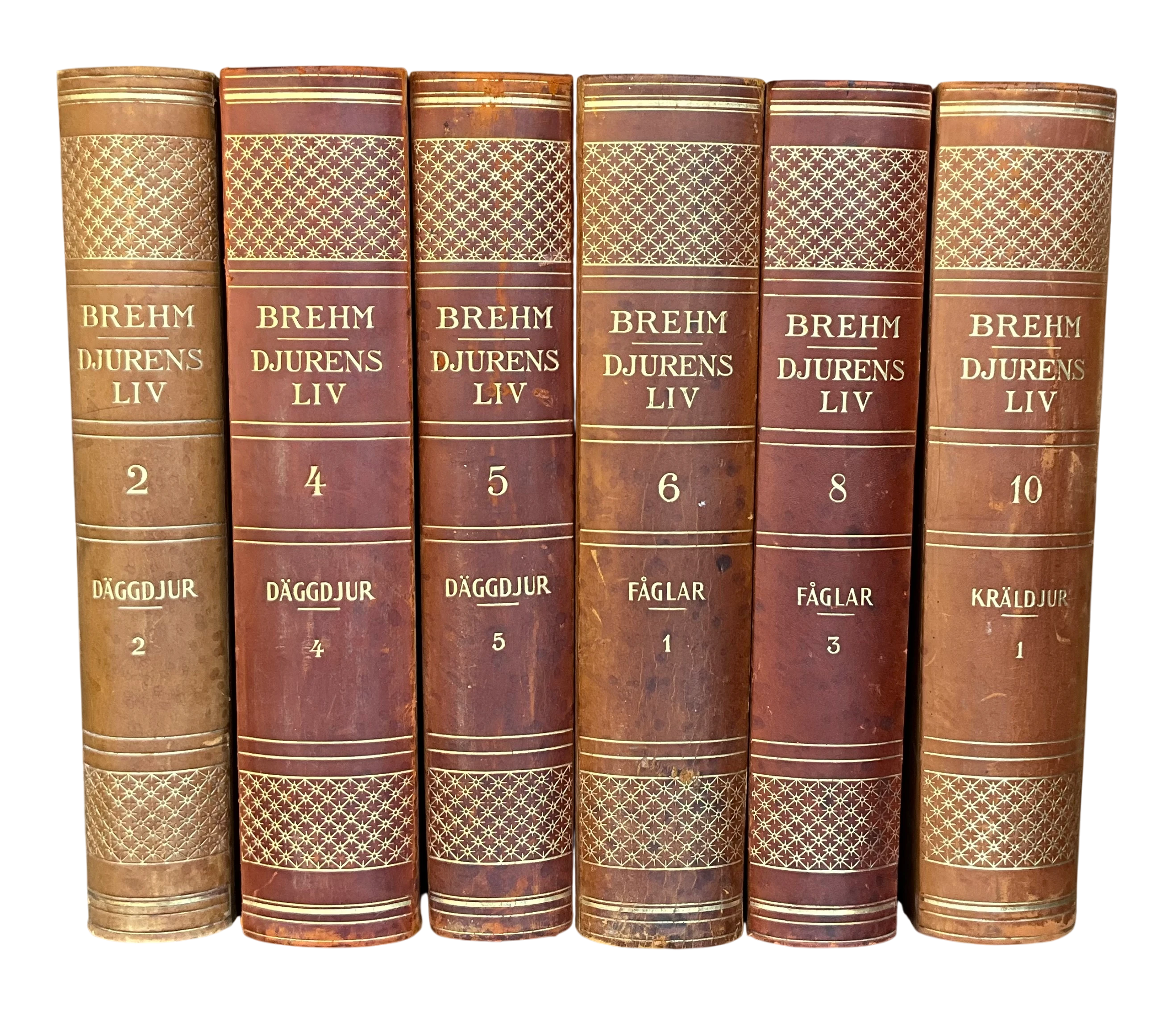 Vintage Brehm Djurens Liv- Set of 6 - Detail view
