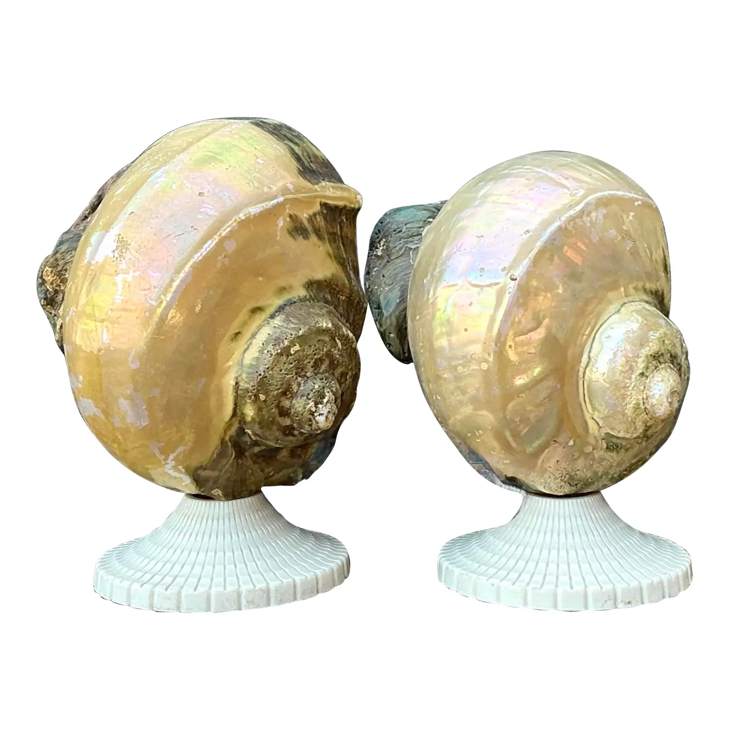 Vintage Deco Nautilus Shell Lamps - A Pair